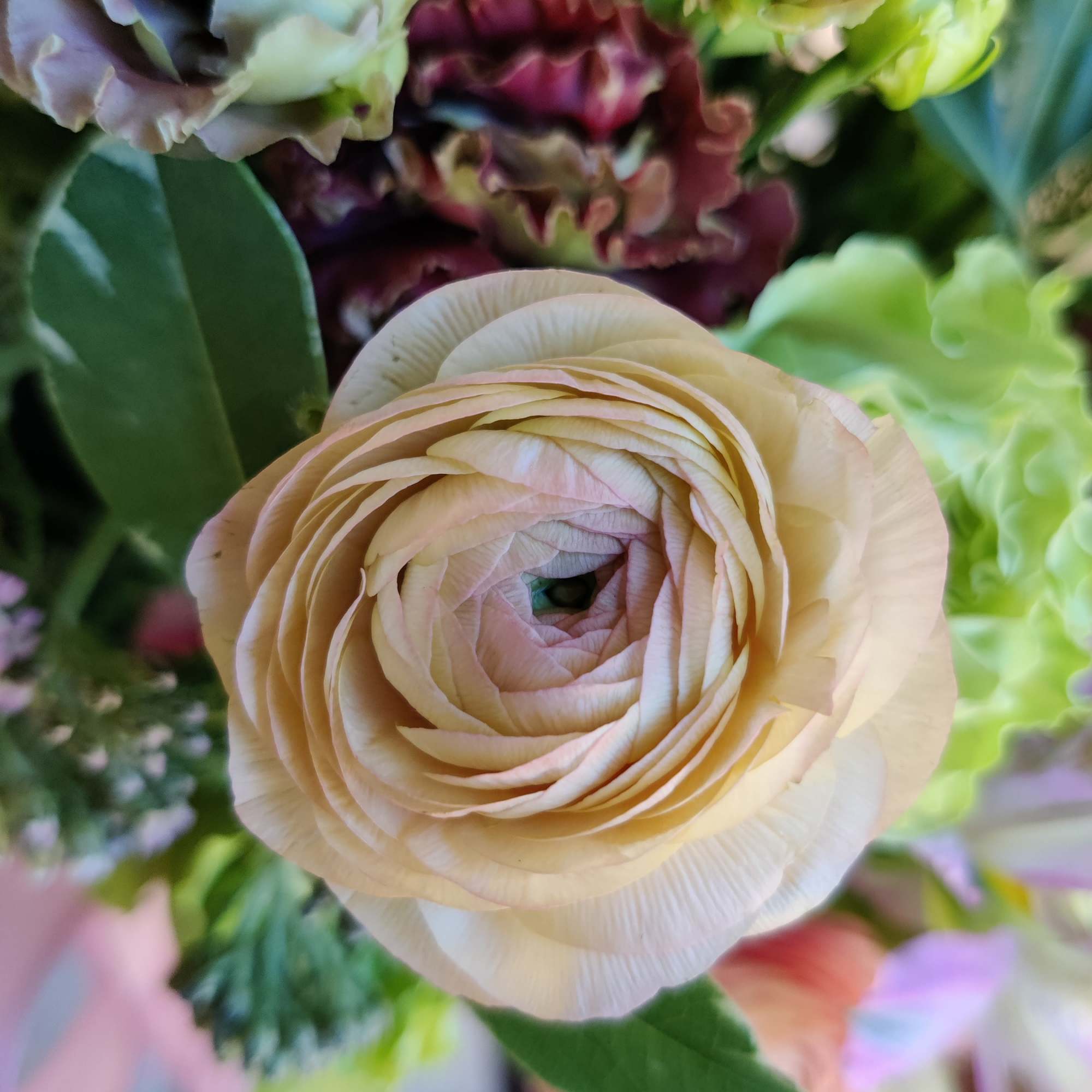 Spring's prettiest assortment. Lovely light color palette and a mix of local