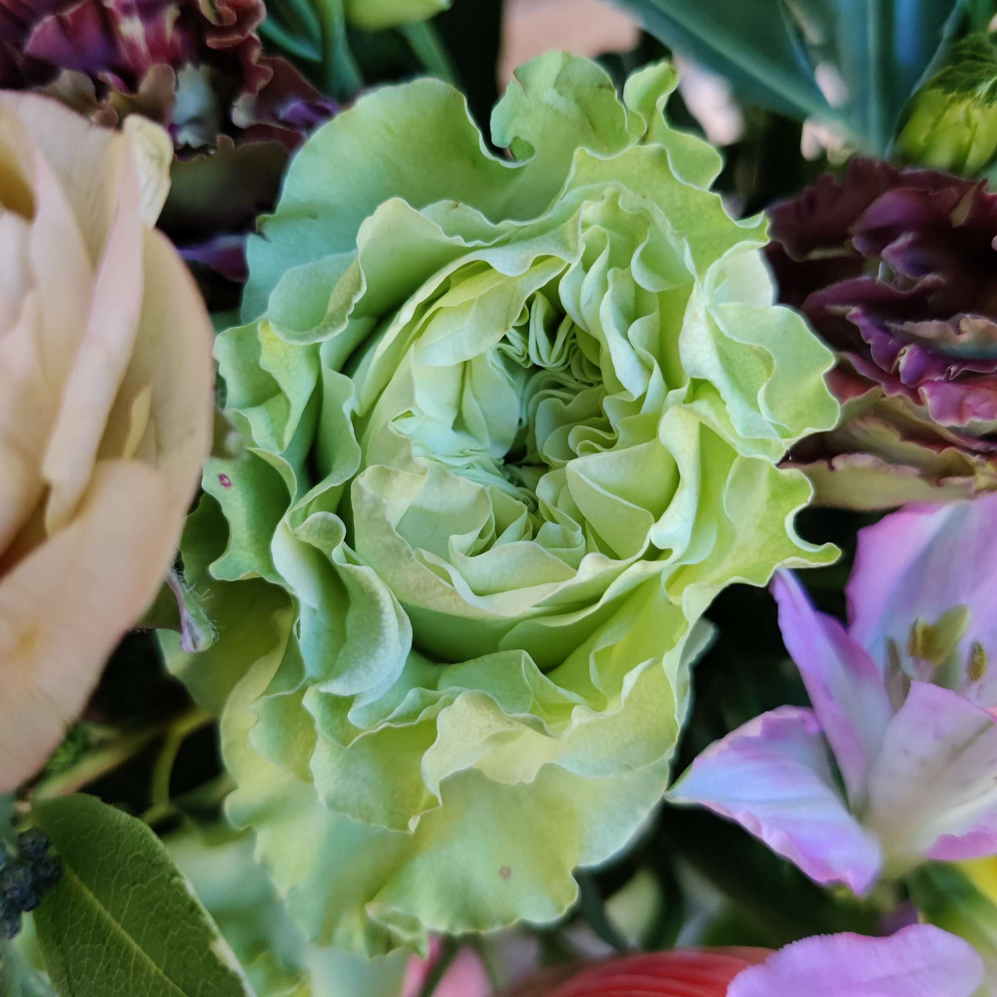 Spring's prettiest assortment. Lovely light color palette and a mix of local