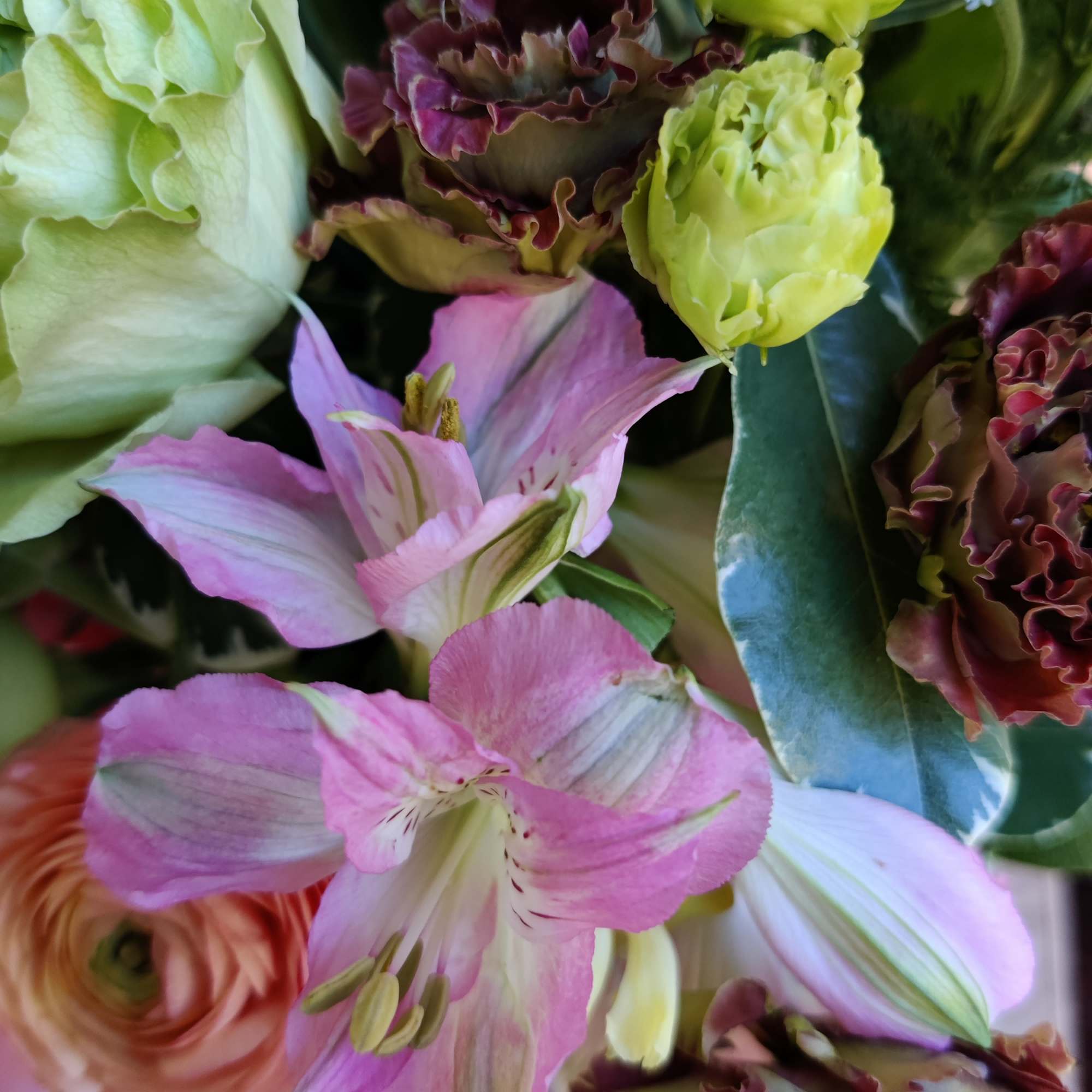 Spring's prettiest assortment. Lovely light color palette and a mix of local