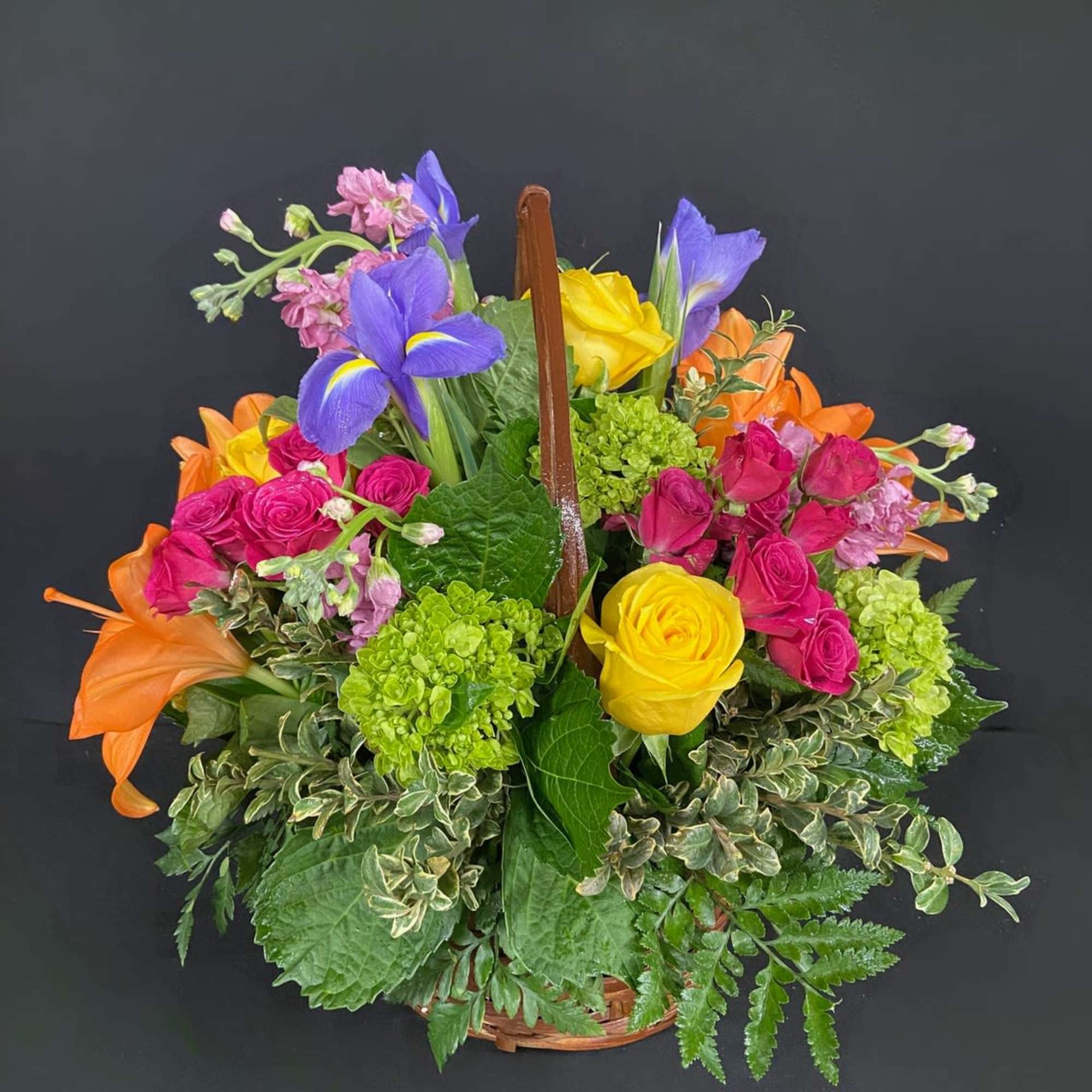 For the color lover in your life! Featuring 6 different types of