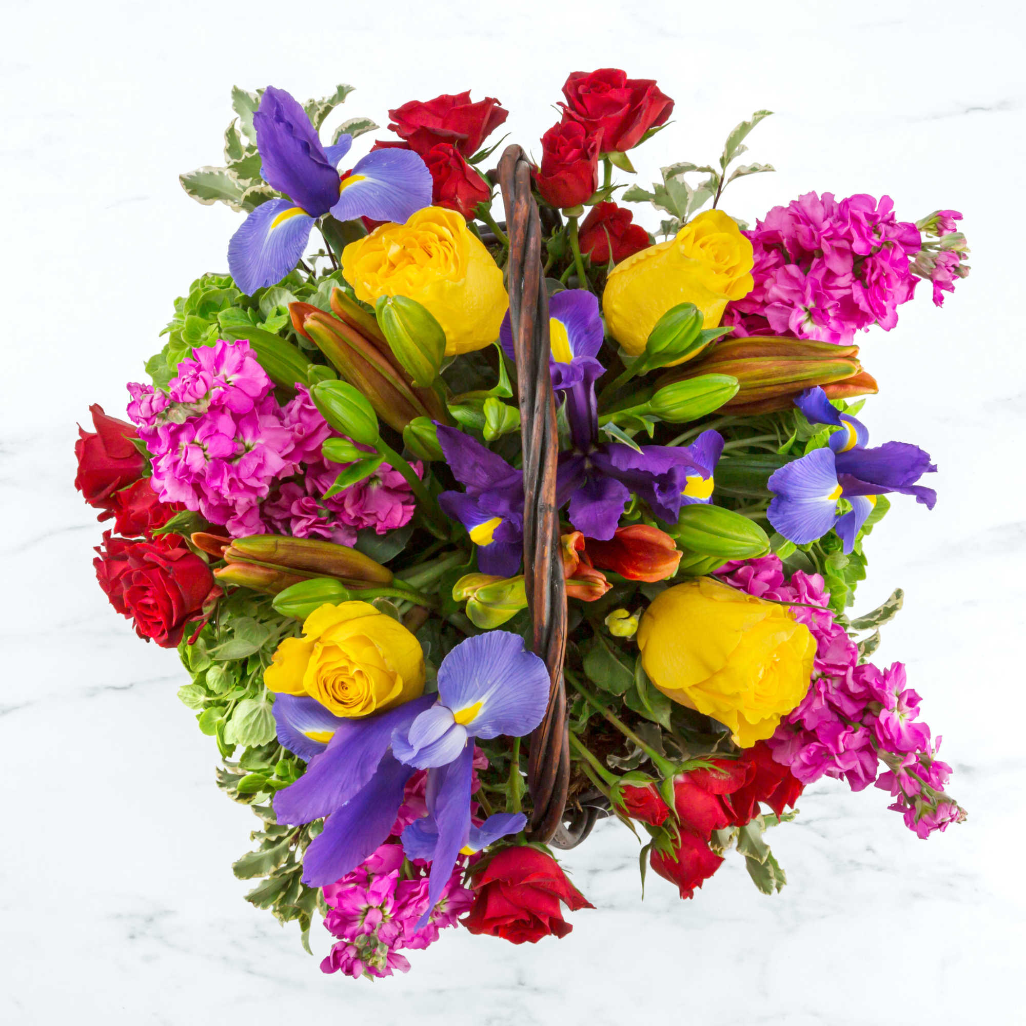 For the color lover in your life! Featuring 6 different types of