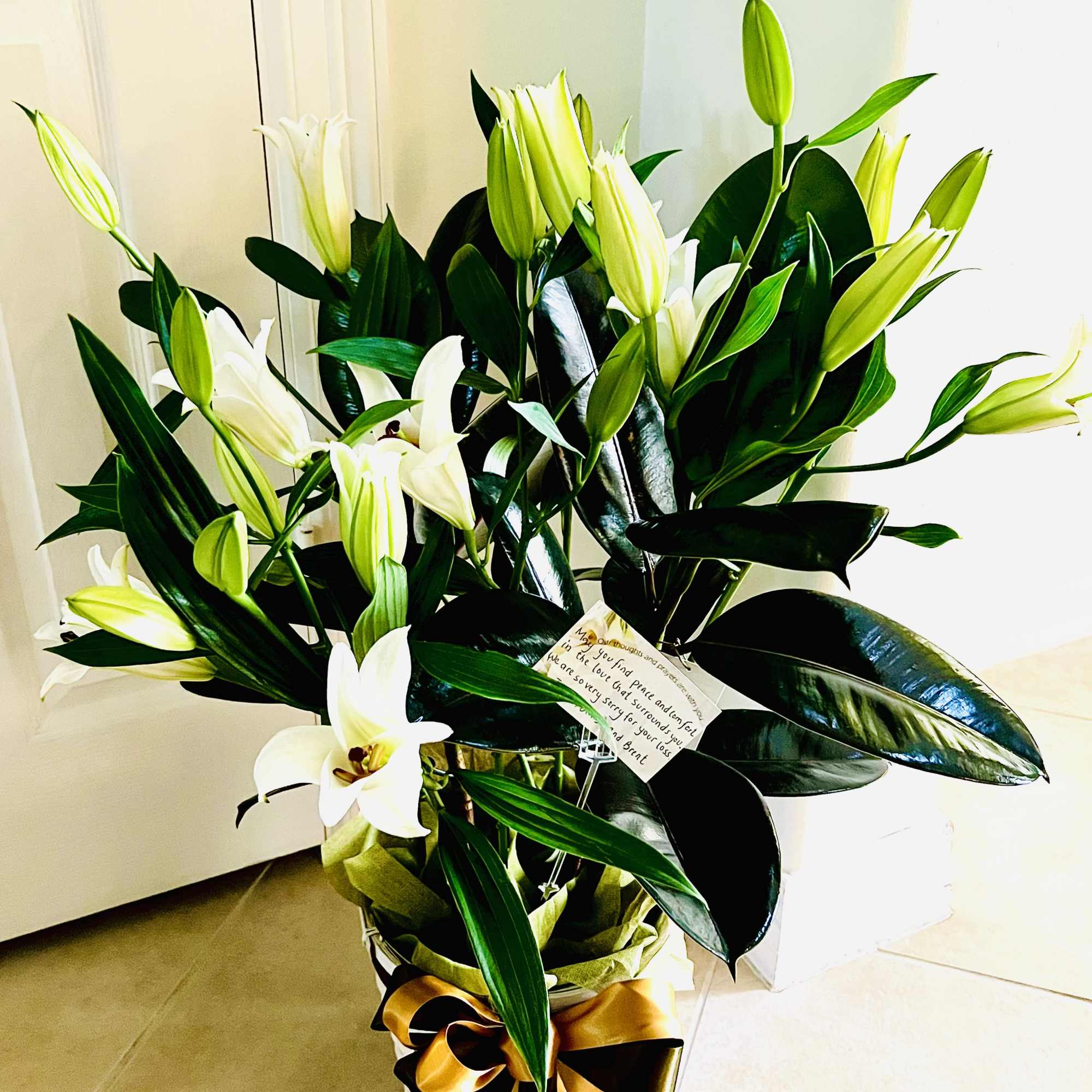 Sympathy plants decorated with fresh blooms offer a heartfelt blend of lasting