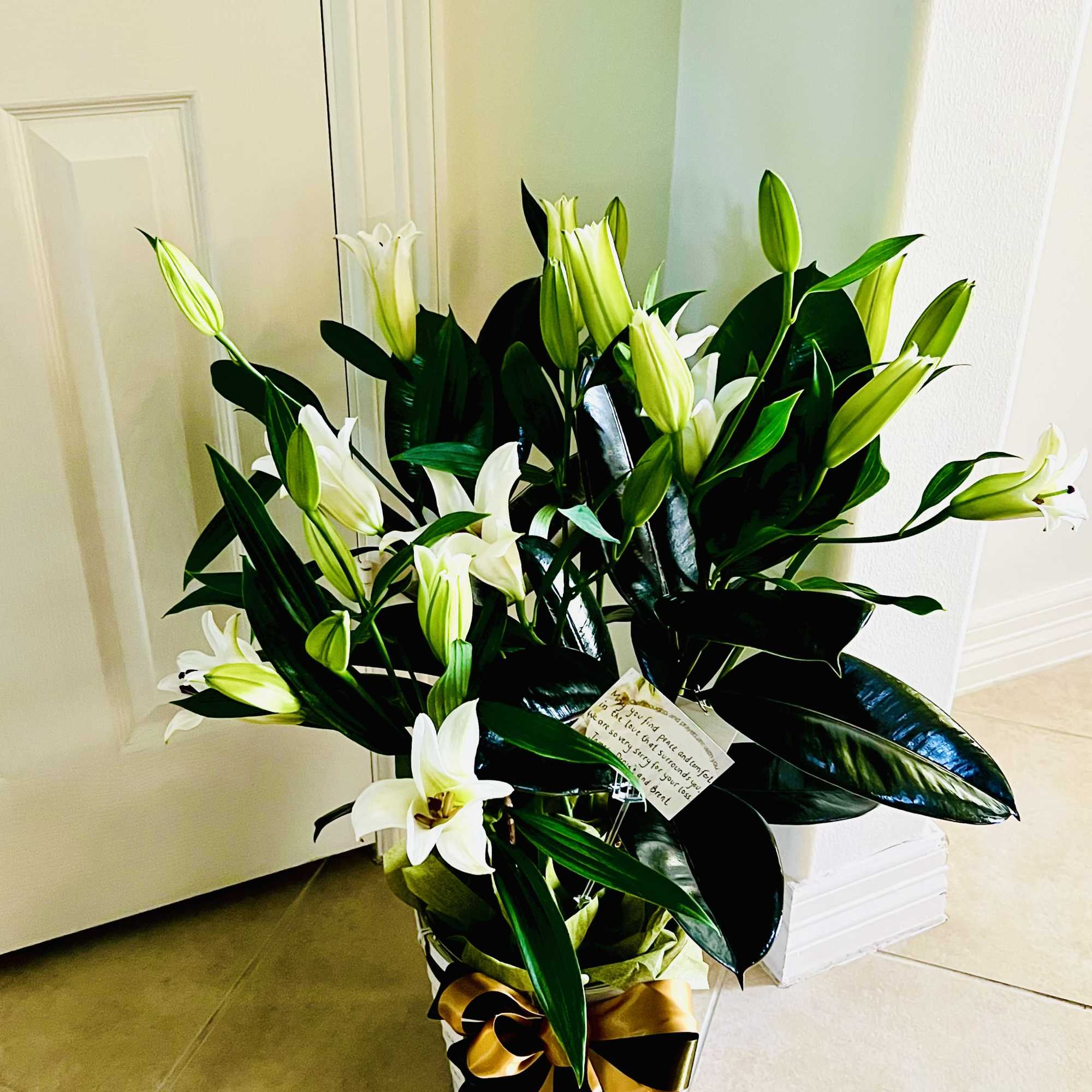 Sympathy plants decorated with fresh blooms offer a heartfelt blend of lasting