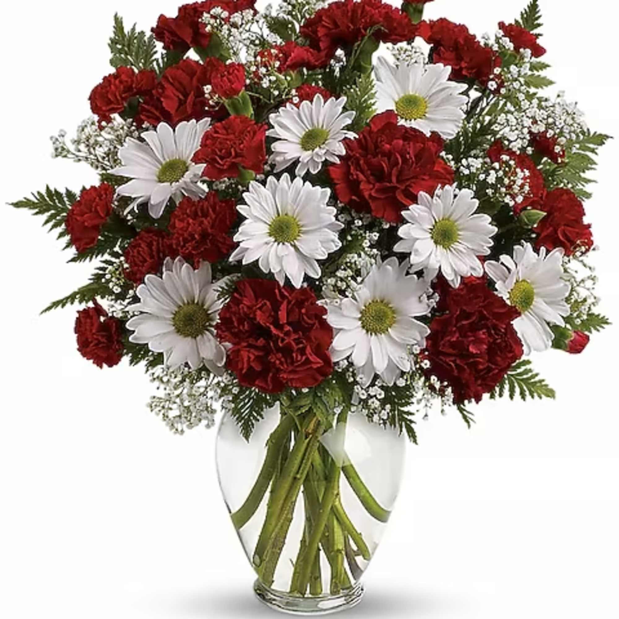 Red carnations and white daisies in a clear glass vase