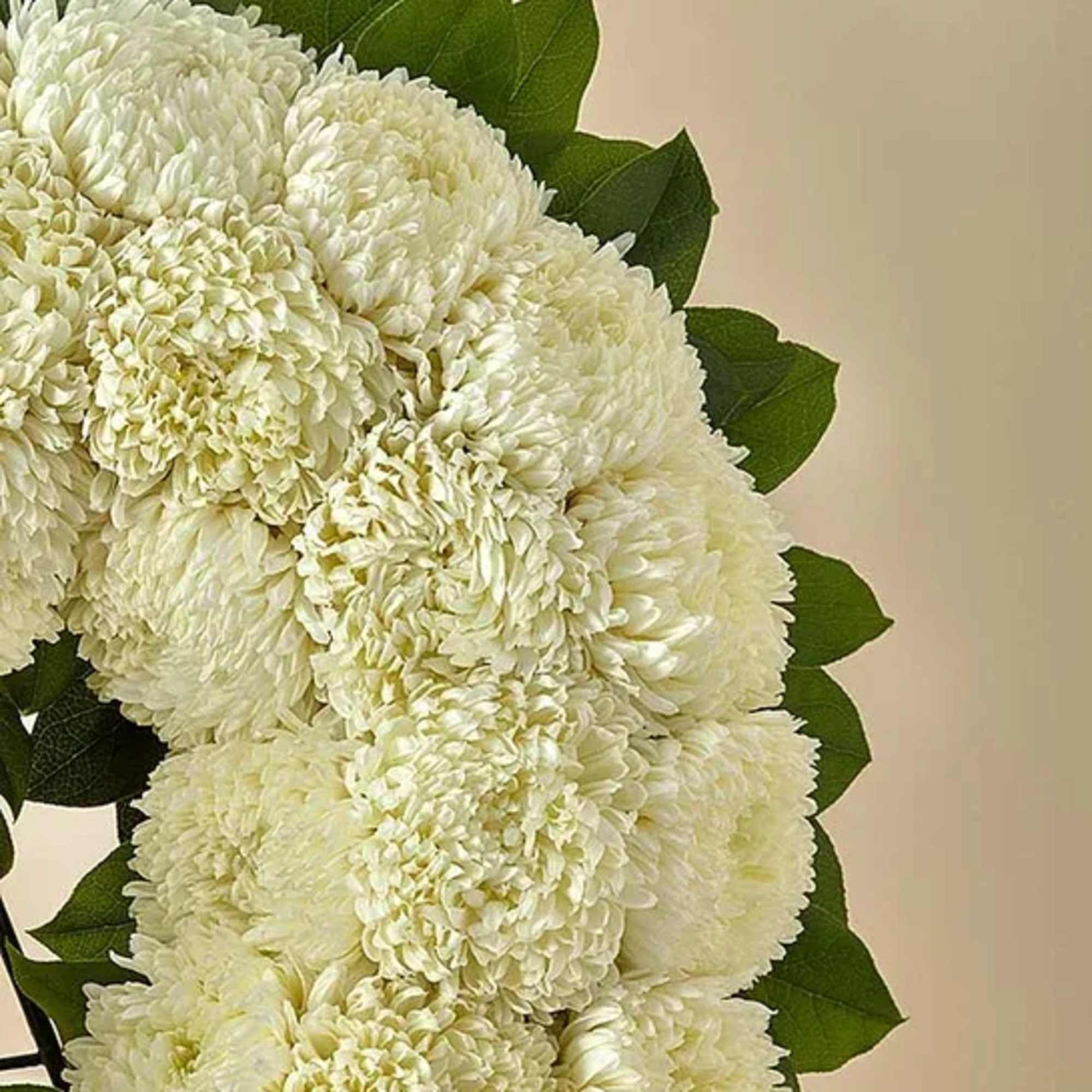 Section of a round wreath made of densely packed white chrysanthemum blooms