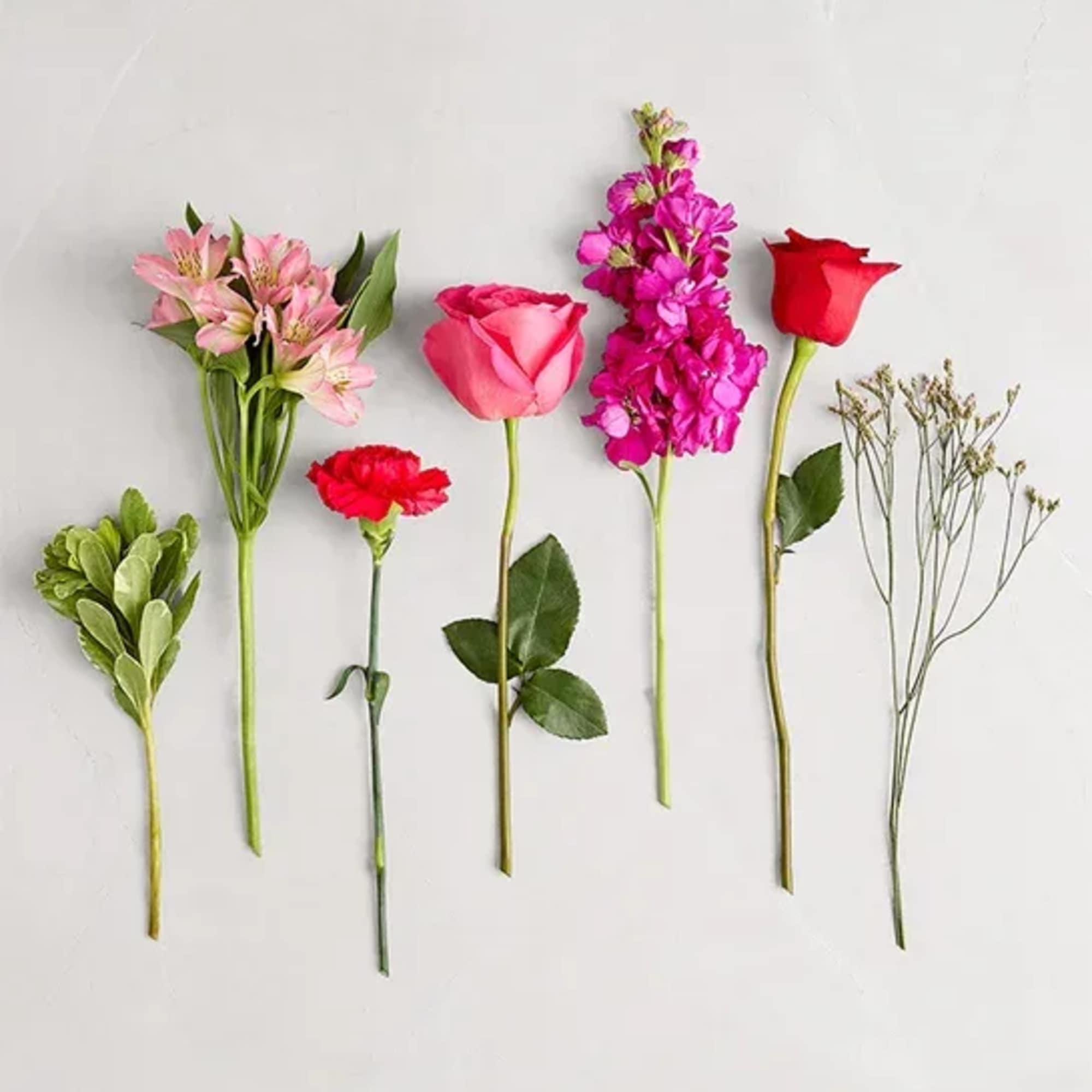 Assorted flower stems laid out on a white background