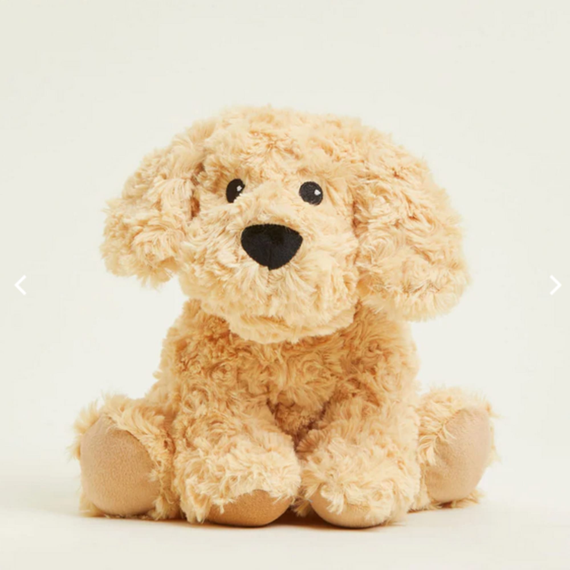Plush tan puppy with floppy ears and black nose
