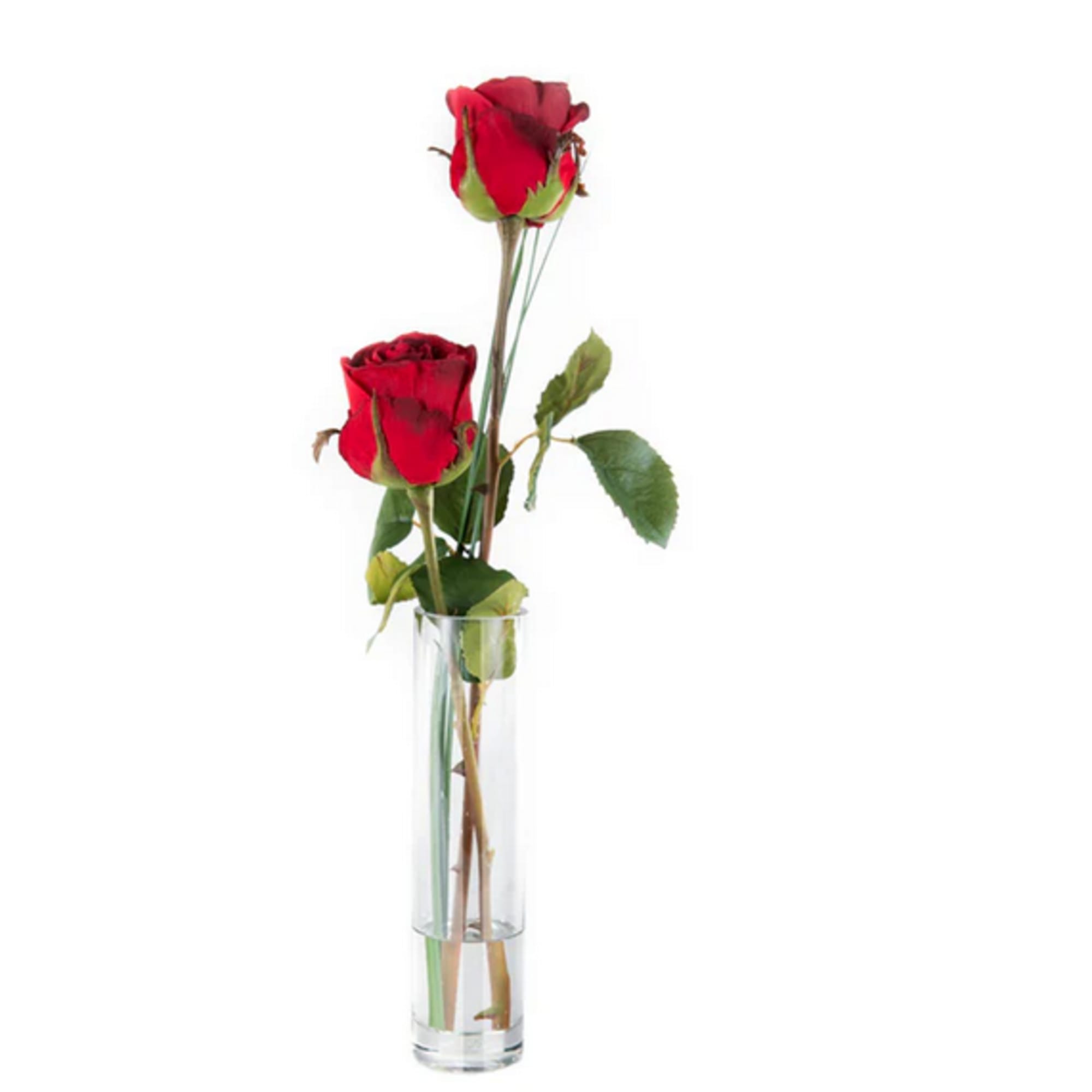 Two red roses in a clear glass vase