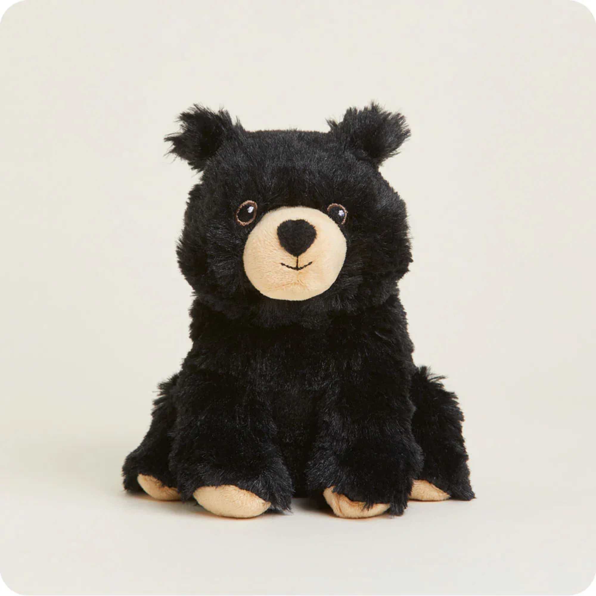Black plush bear with a cream face and paws