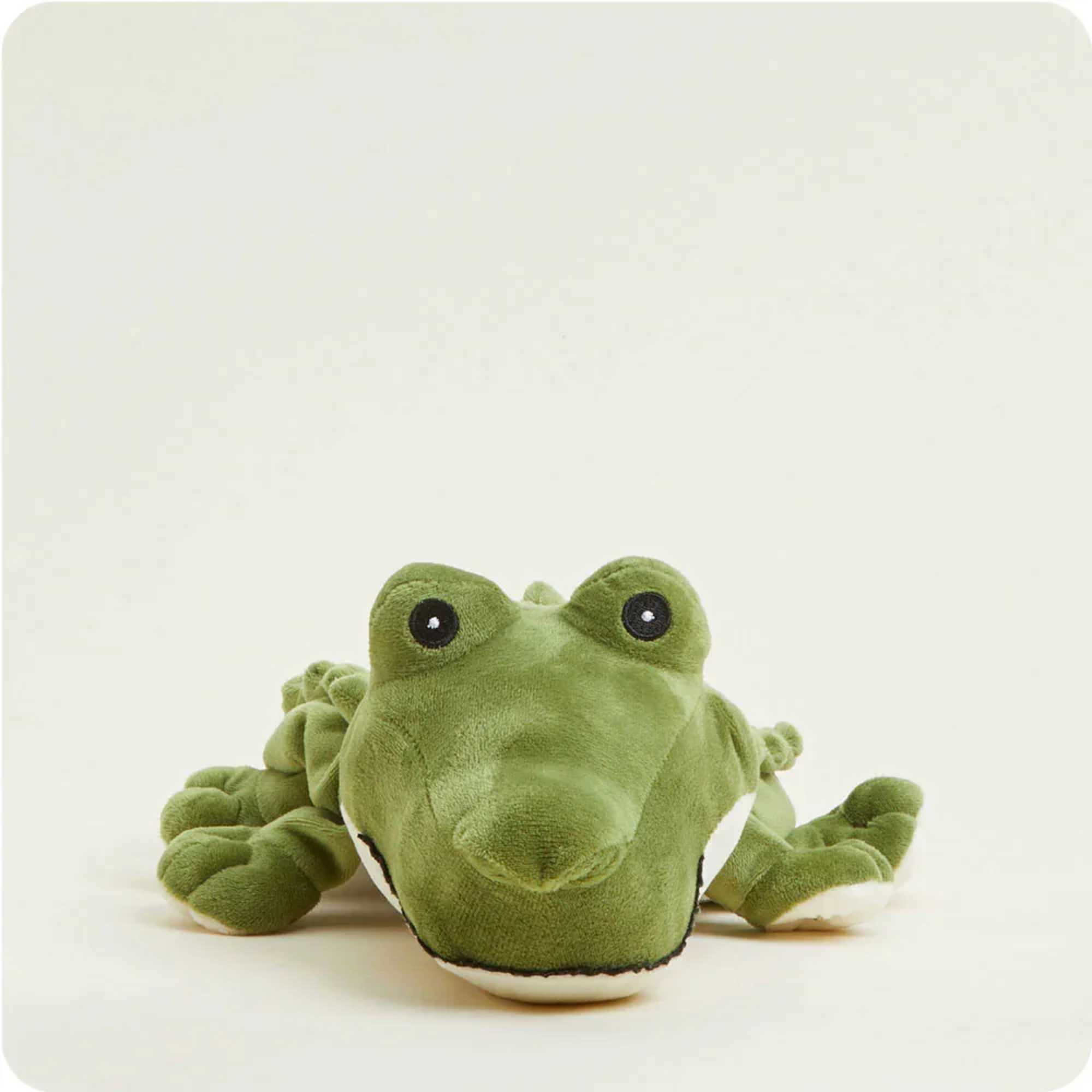 Green plush frog toy lying on a plain light background
