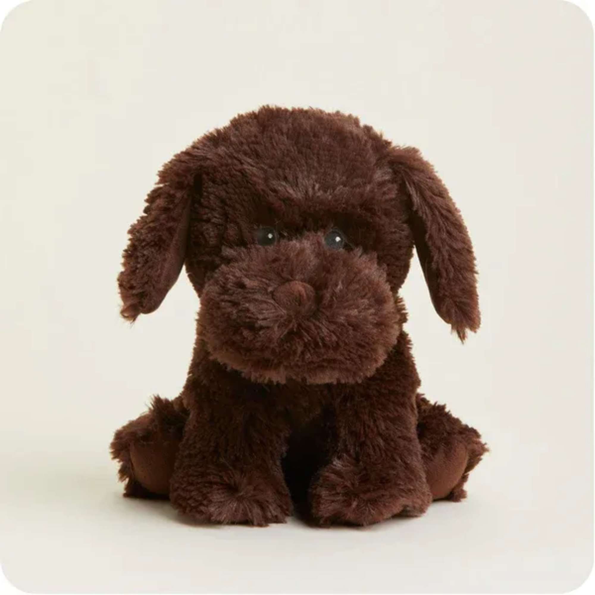 Brown plush dog toy sitting on a plain light background