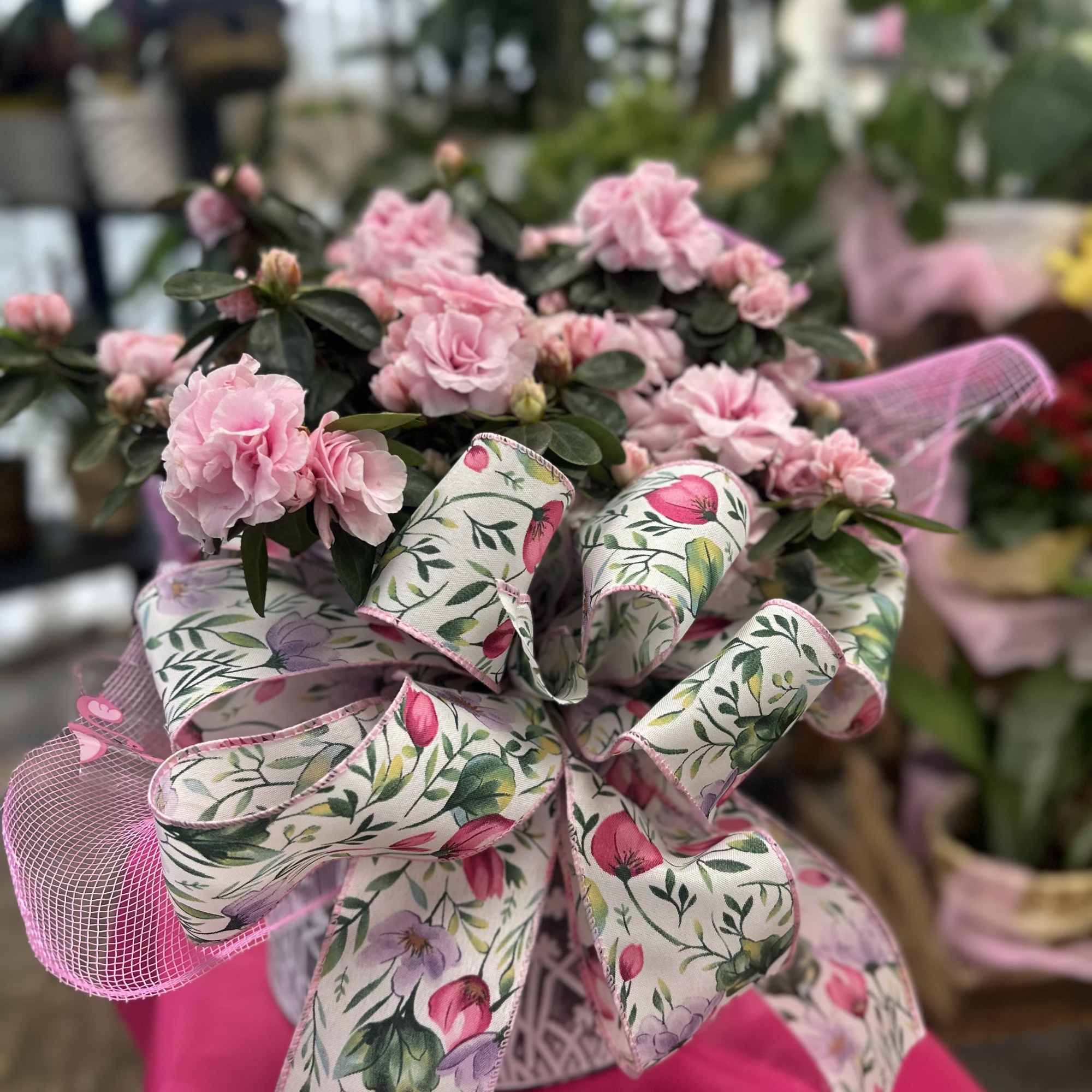 Garden Azalea

A charming and timeless gift that brings the beauty of the