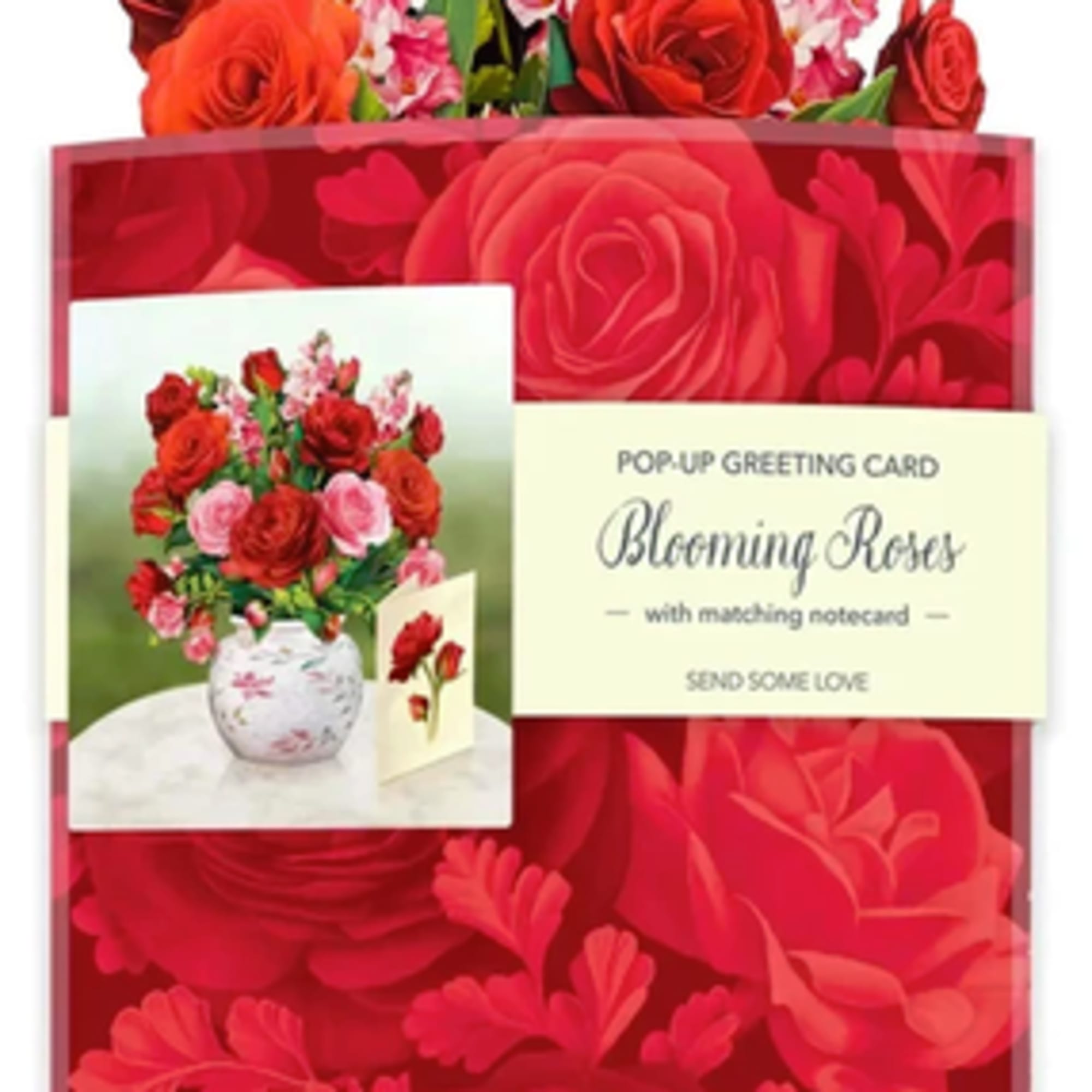 Pop-up greeting card with red and pink roses and matching notecard