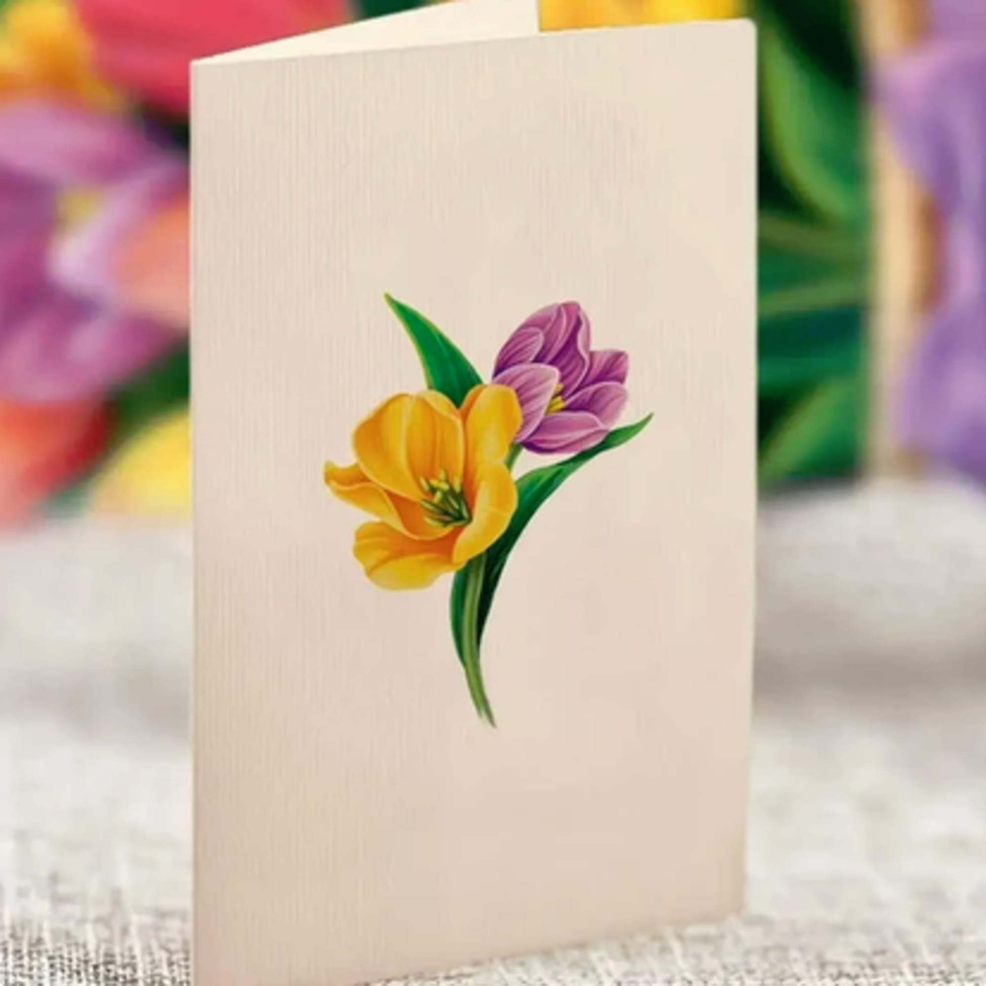 Folded cream card with a tulip illustration on the front