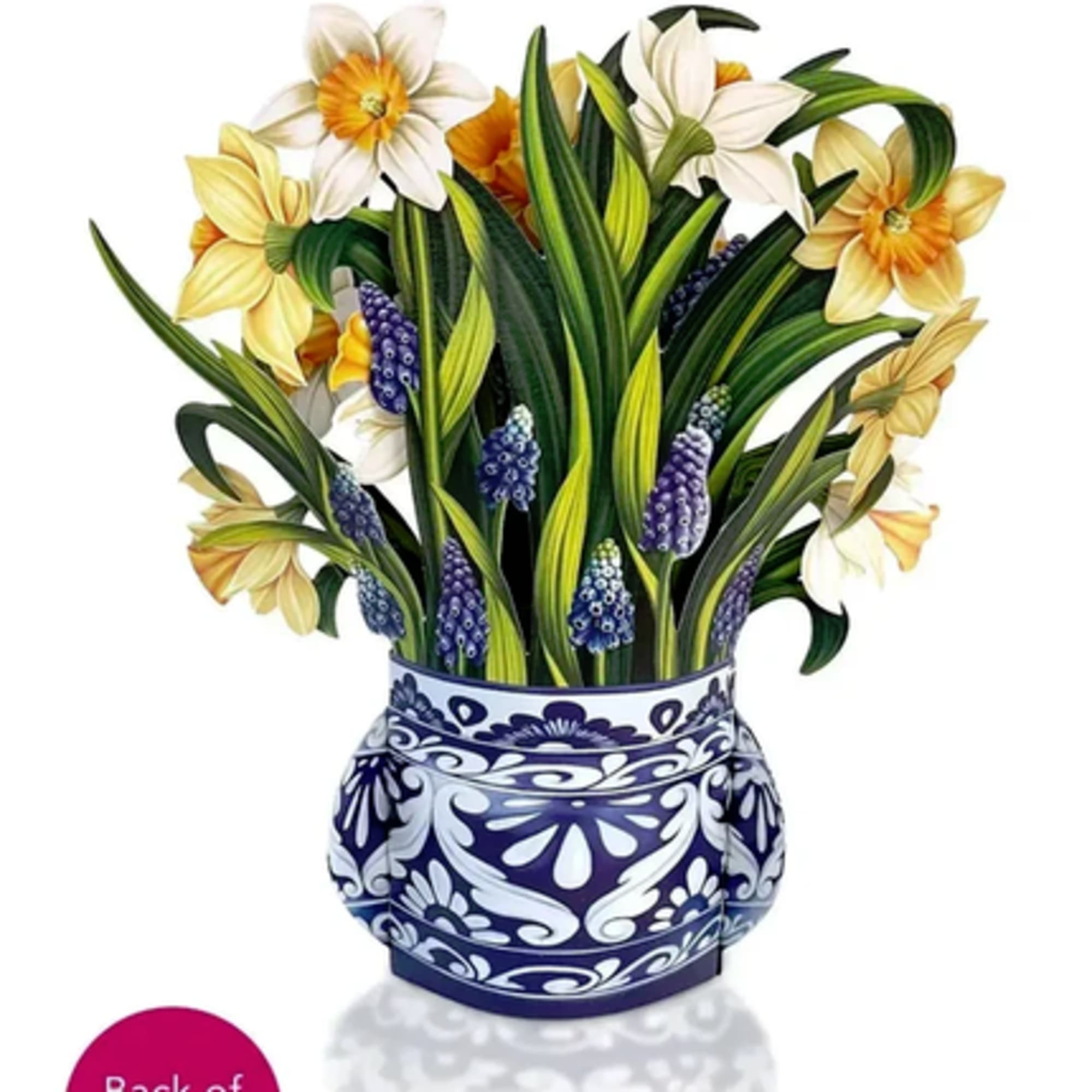 Bouquet of daffodils and grape hyacinths in a blue-and-white ceramic vase