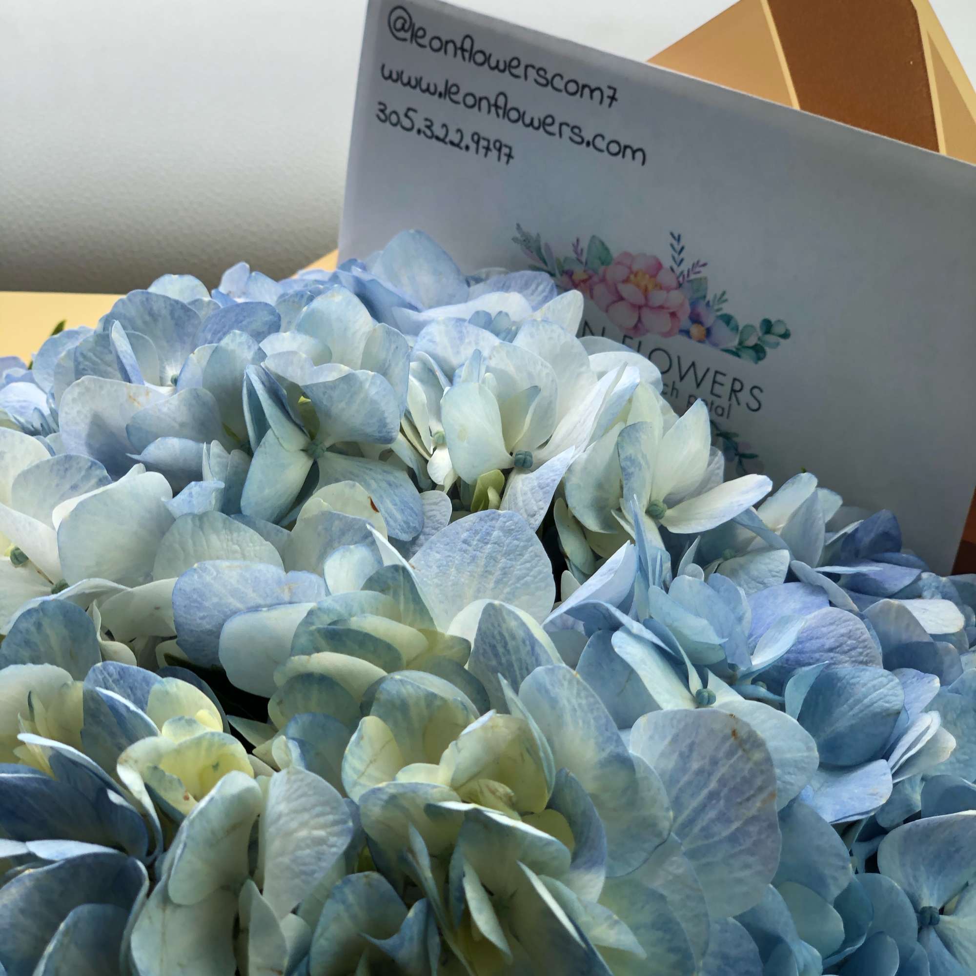 A bouquet of pale blue hydrangeas with a florist card behind it.