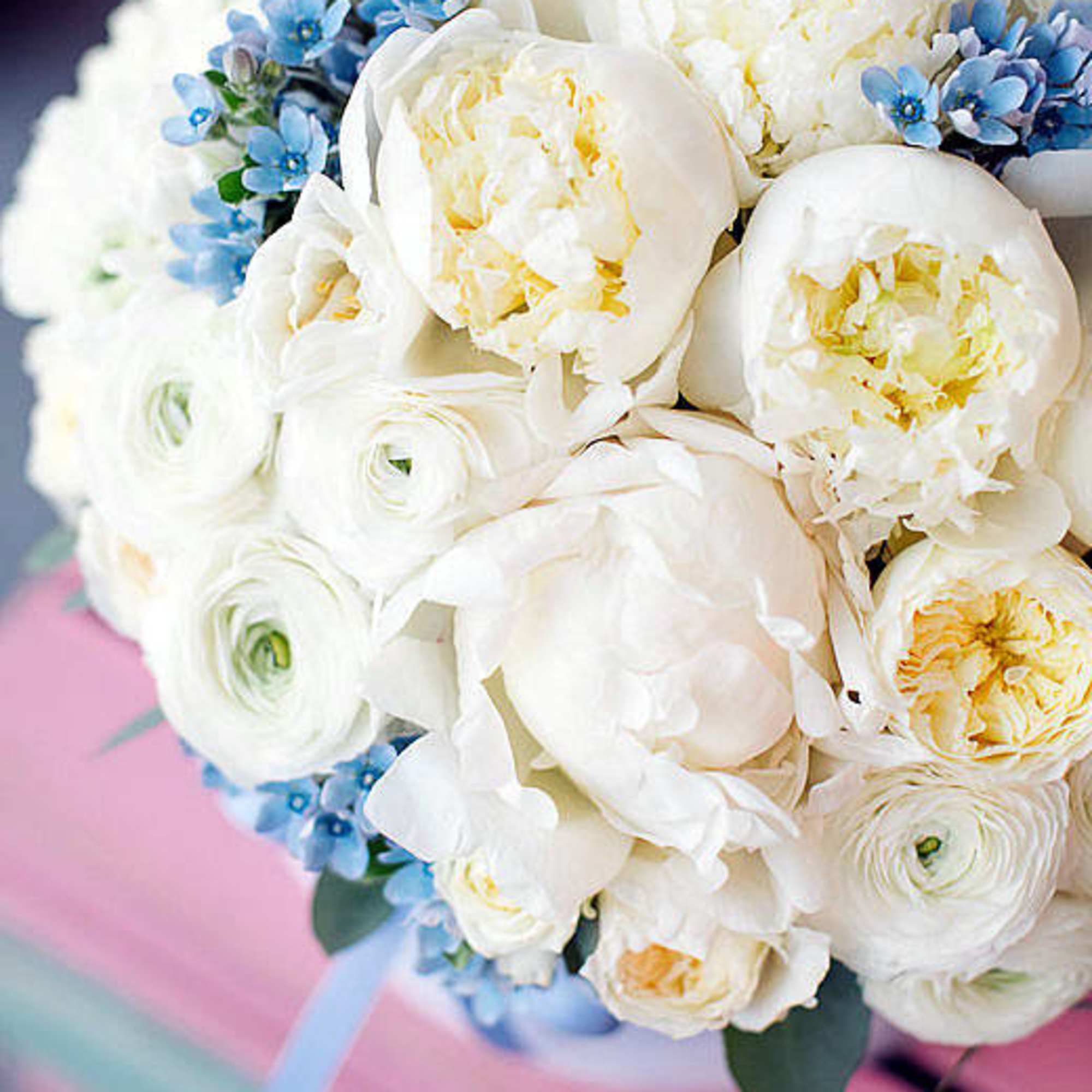 White bouquet with blue accents and a pale ribbon