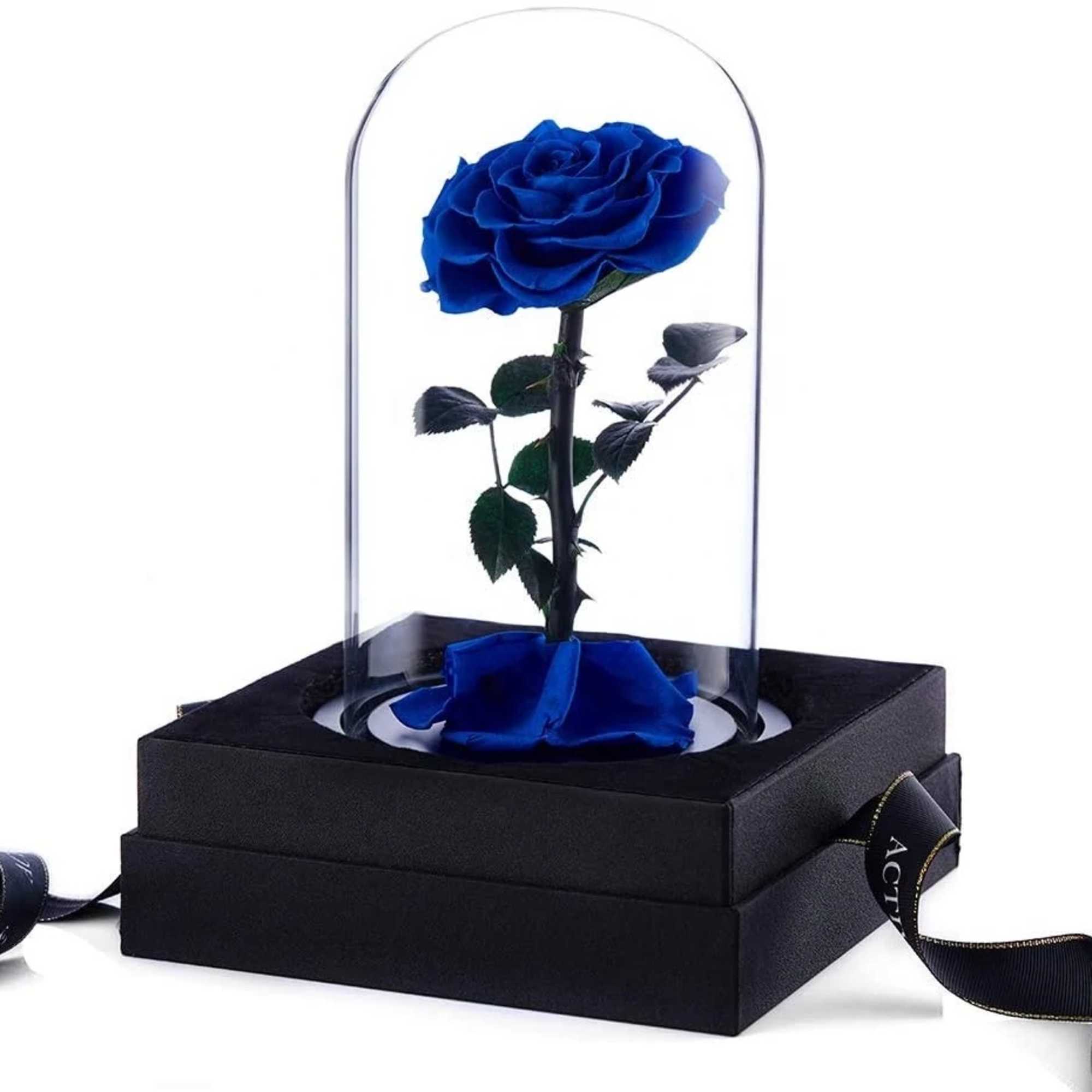 Single blue rose under a clear dome on a black gift box