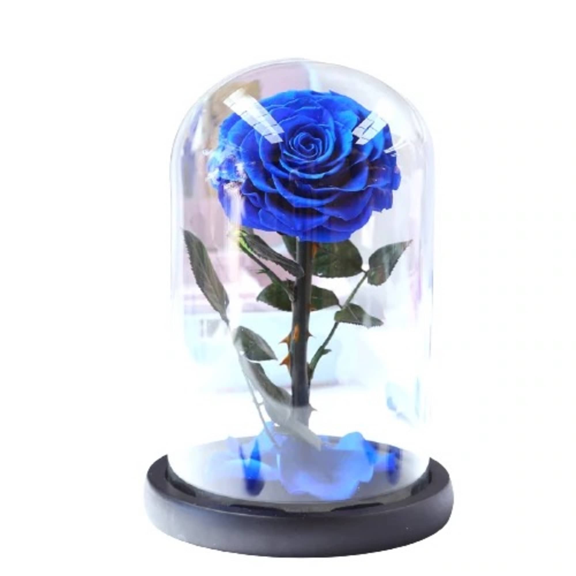 Single blue rose under a clear glass dome on a black base