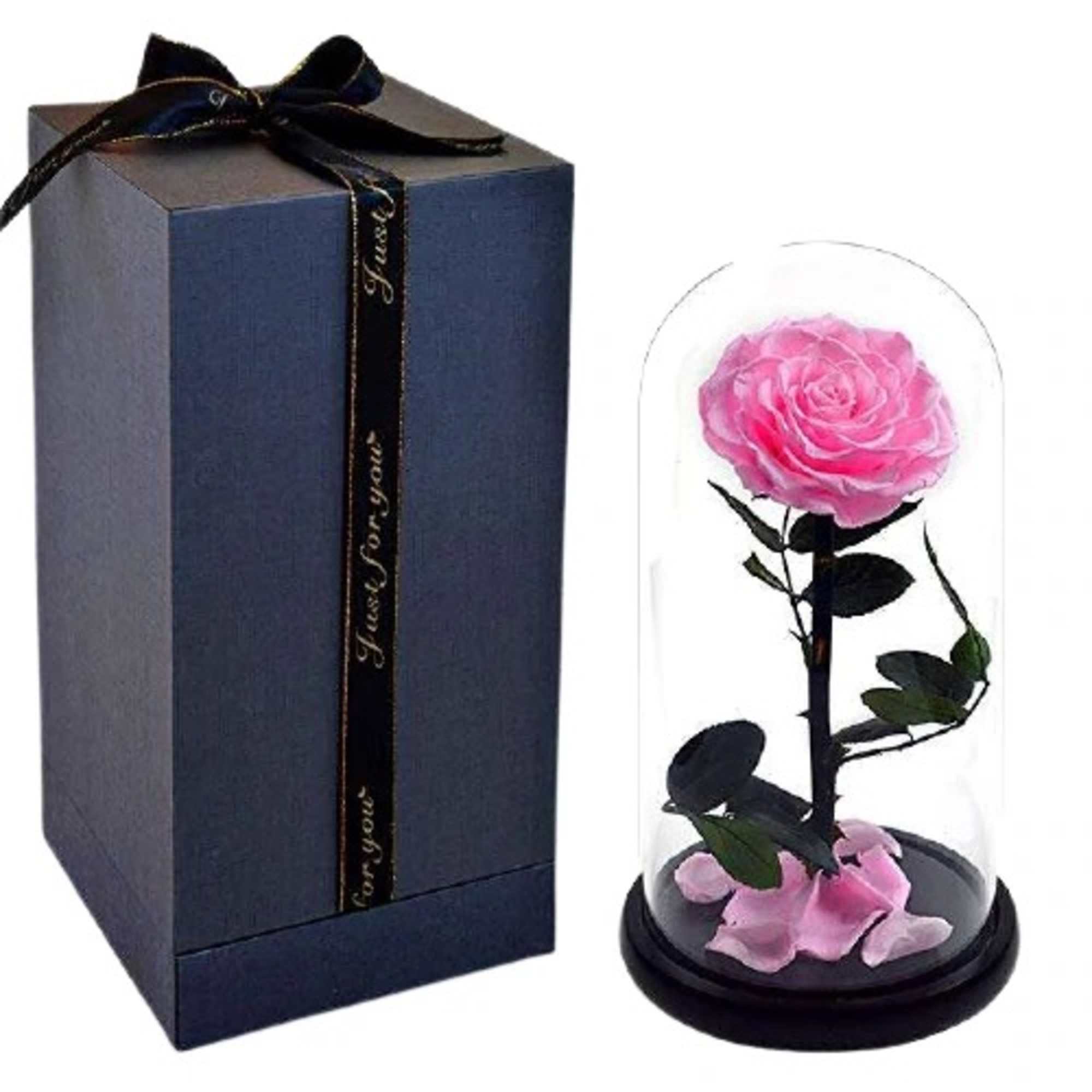 Pink rose under a glass dome beside a navy gift box