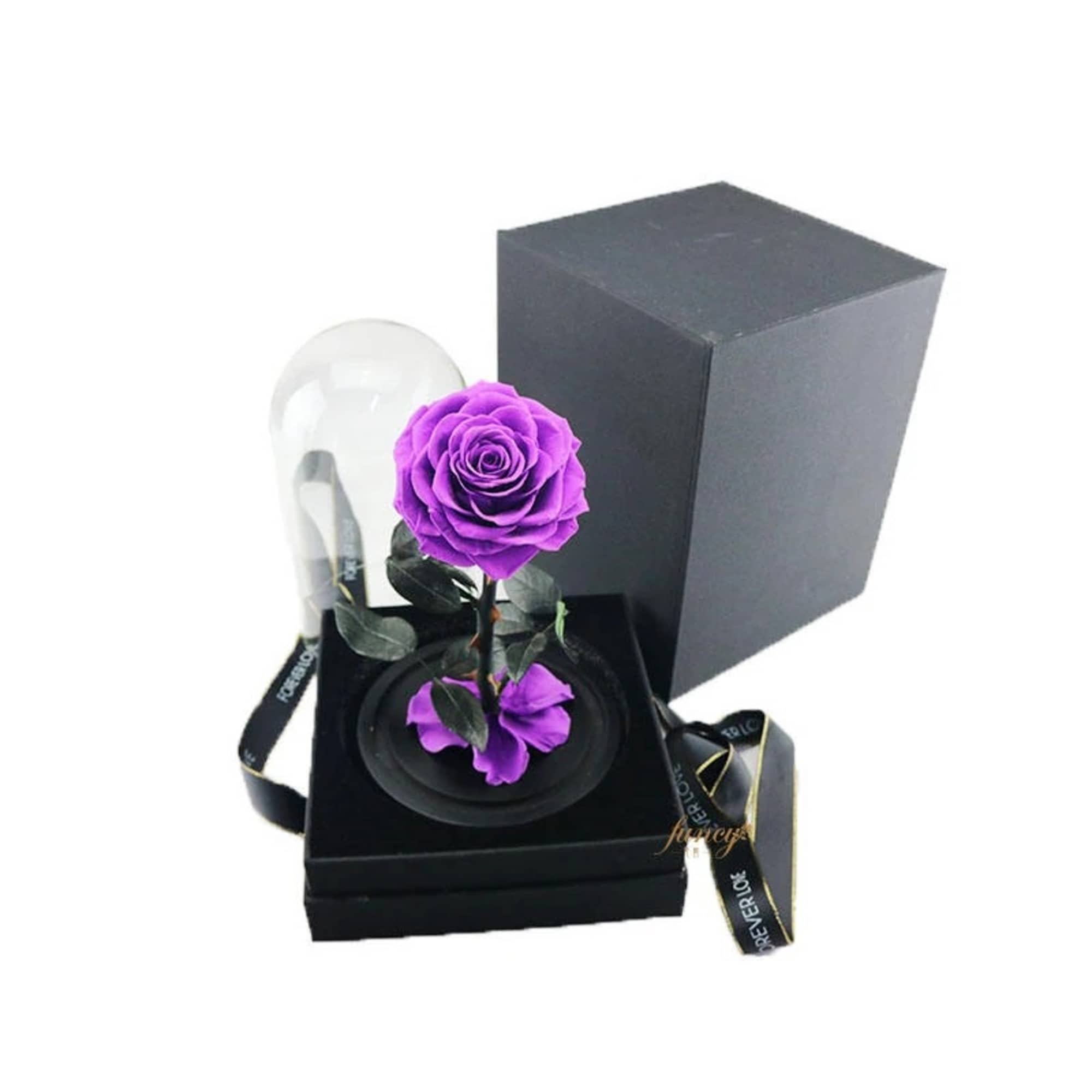 Purple rose in a black gift box with a clear dome cover