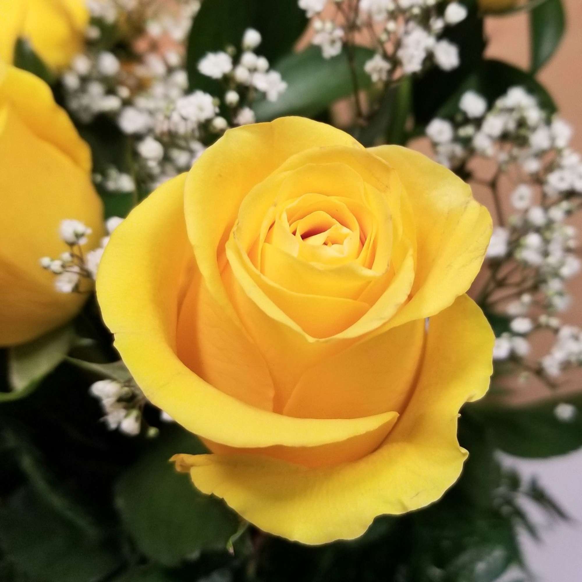 Yellow rose with baby's breath in a bouquet