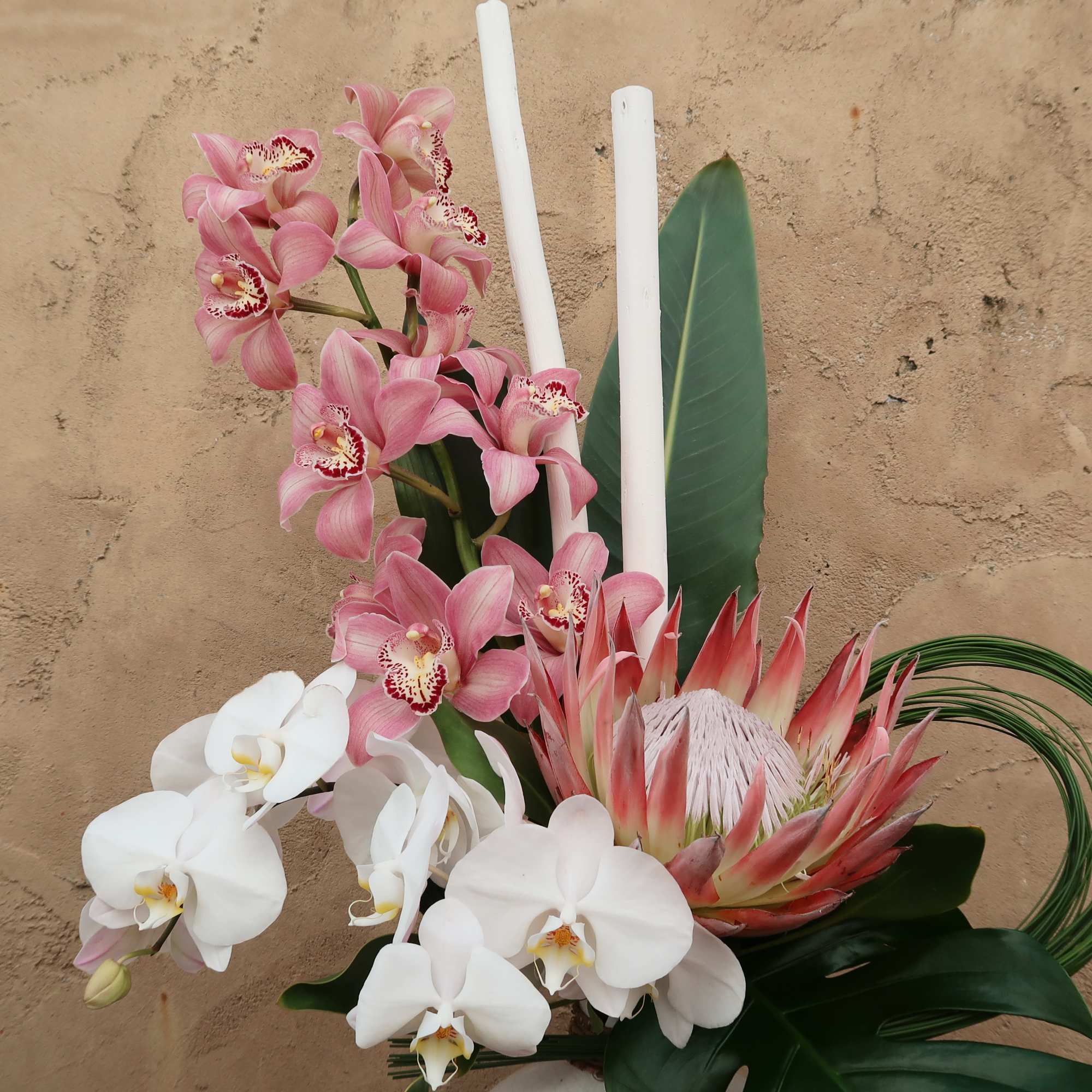 Pink and white orchids with a pink protea arrangement