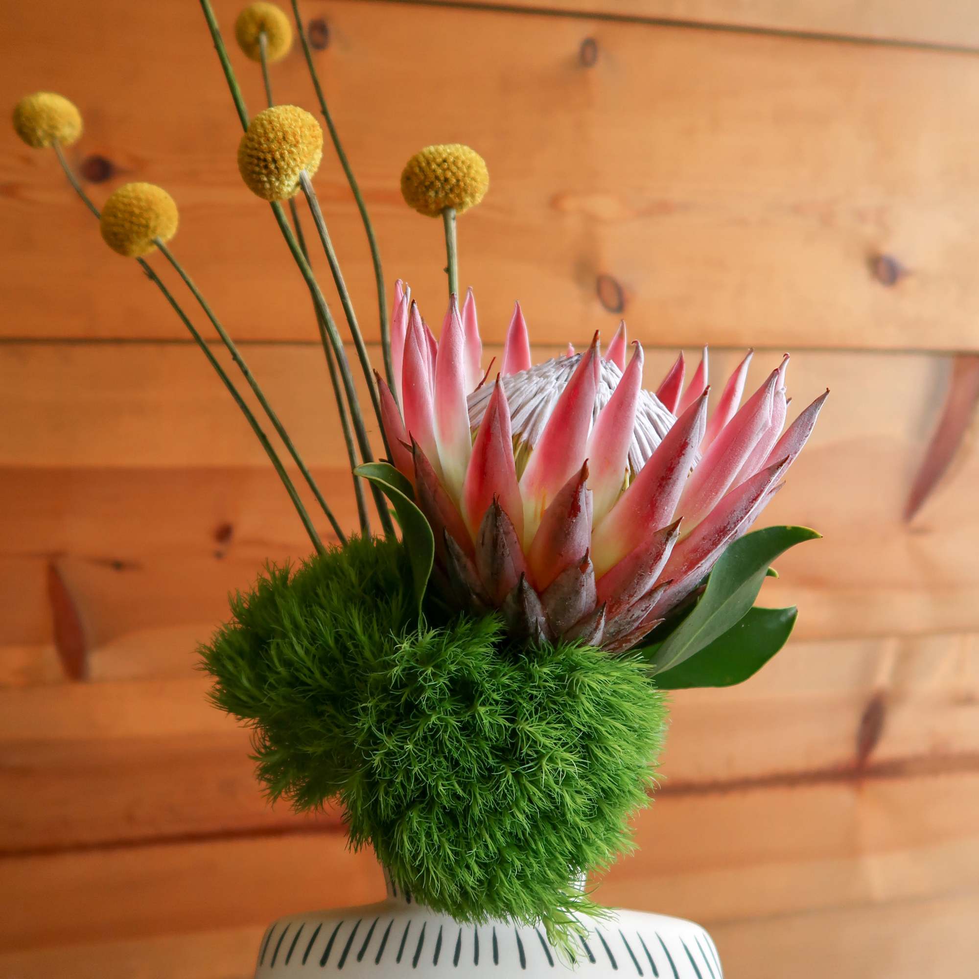 Pink protea arrangement in a white face vase with yellow globe stems