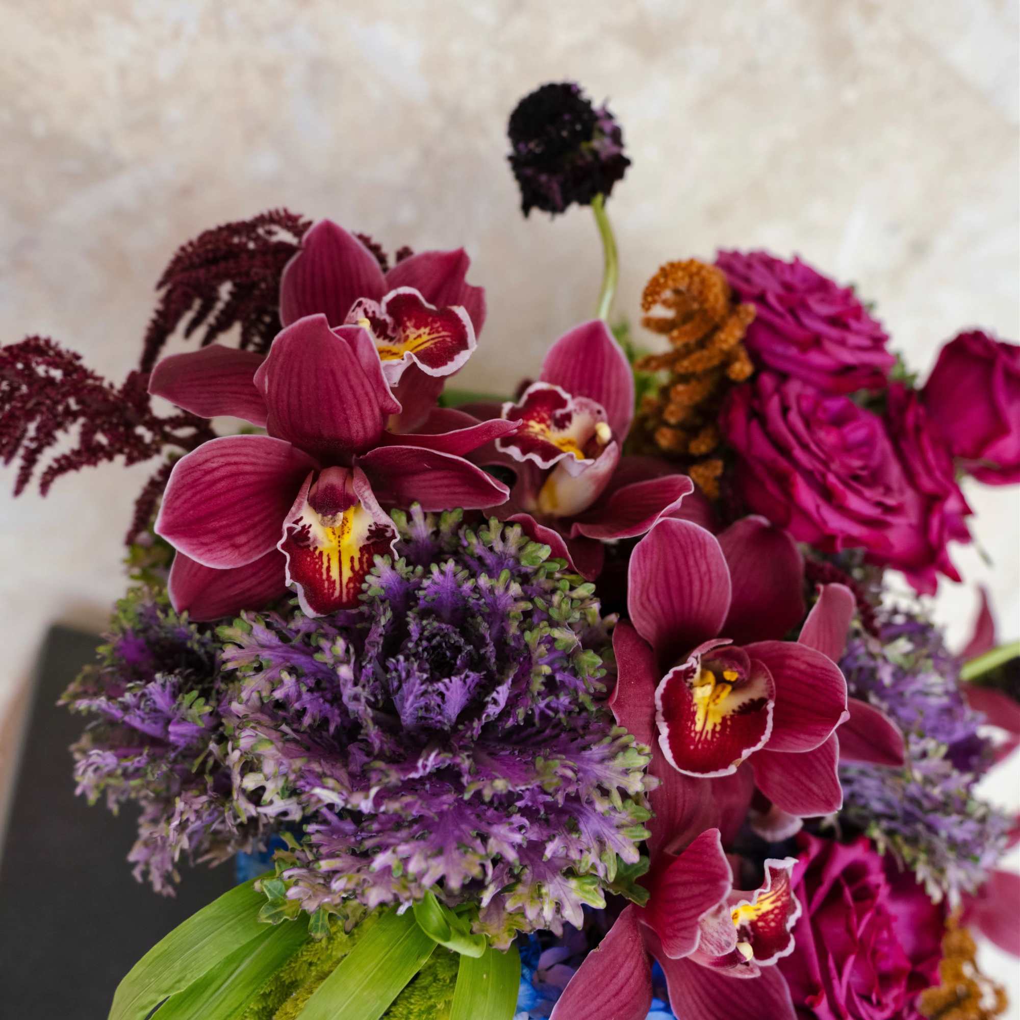 Fall 2021 Exclusive Collection. Jam features shades of purples, green and blue