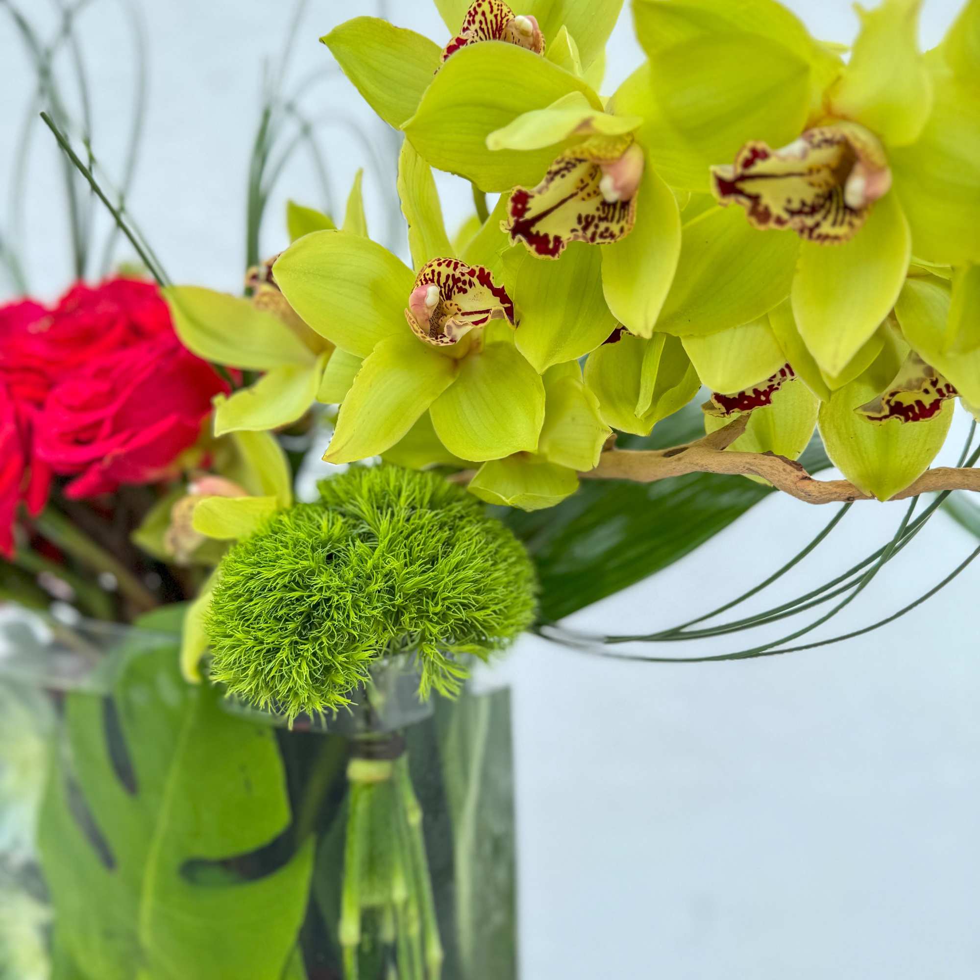 Bold, vibrant, and undeniably chic, Rosalie is the perfect blend of lush, photo 3 of 3