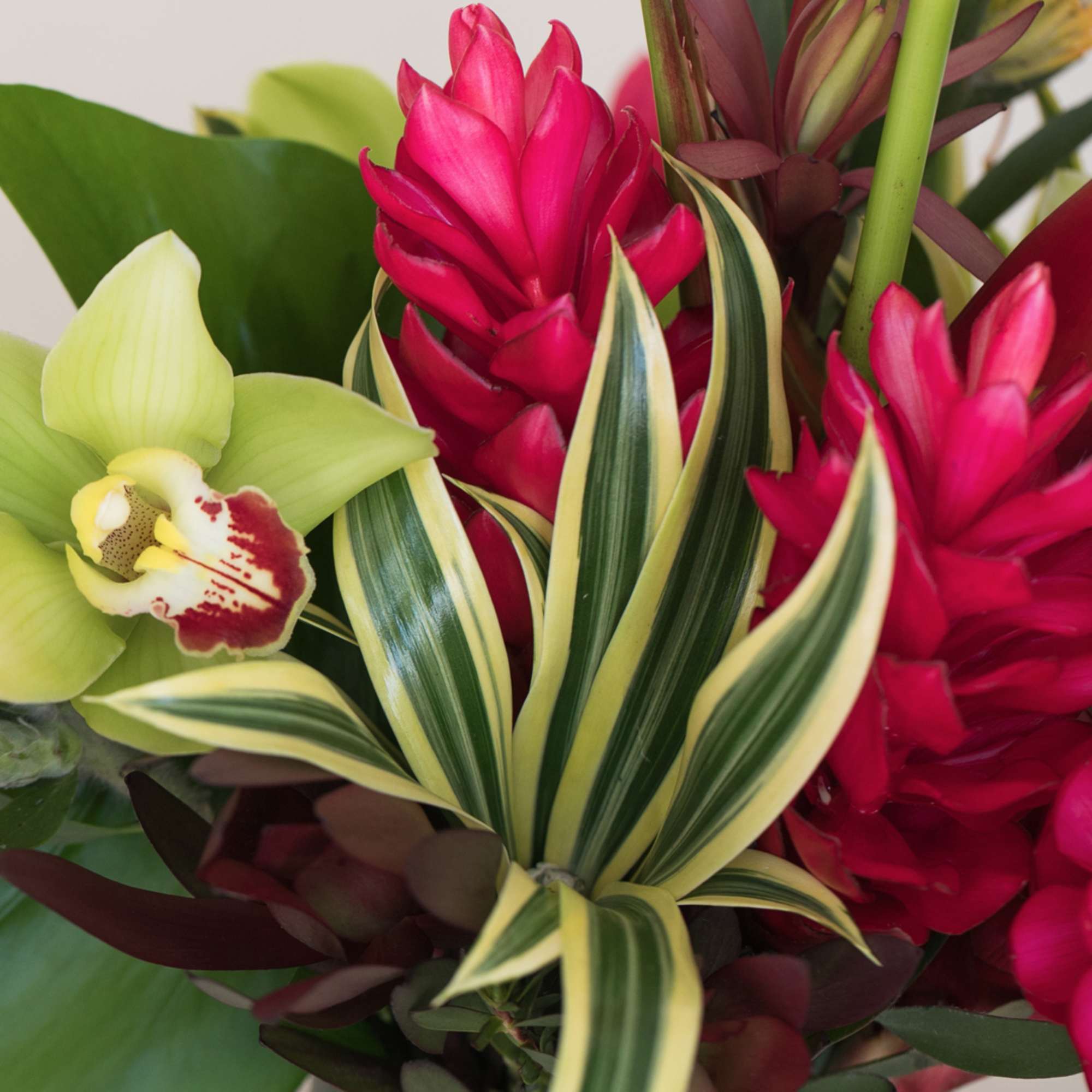Variegated green-yellow leaves with red tropical flowers and a green orchid bloom