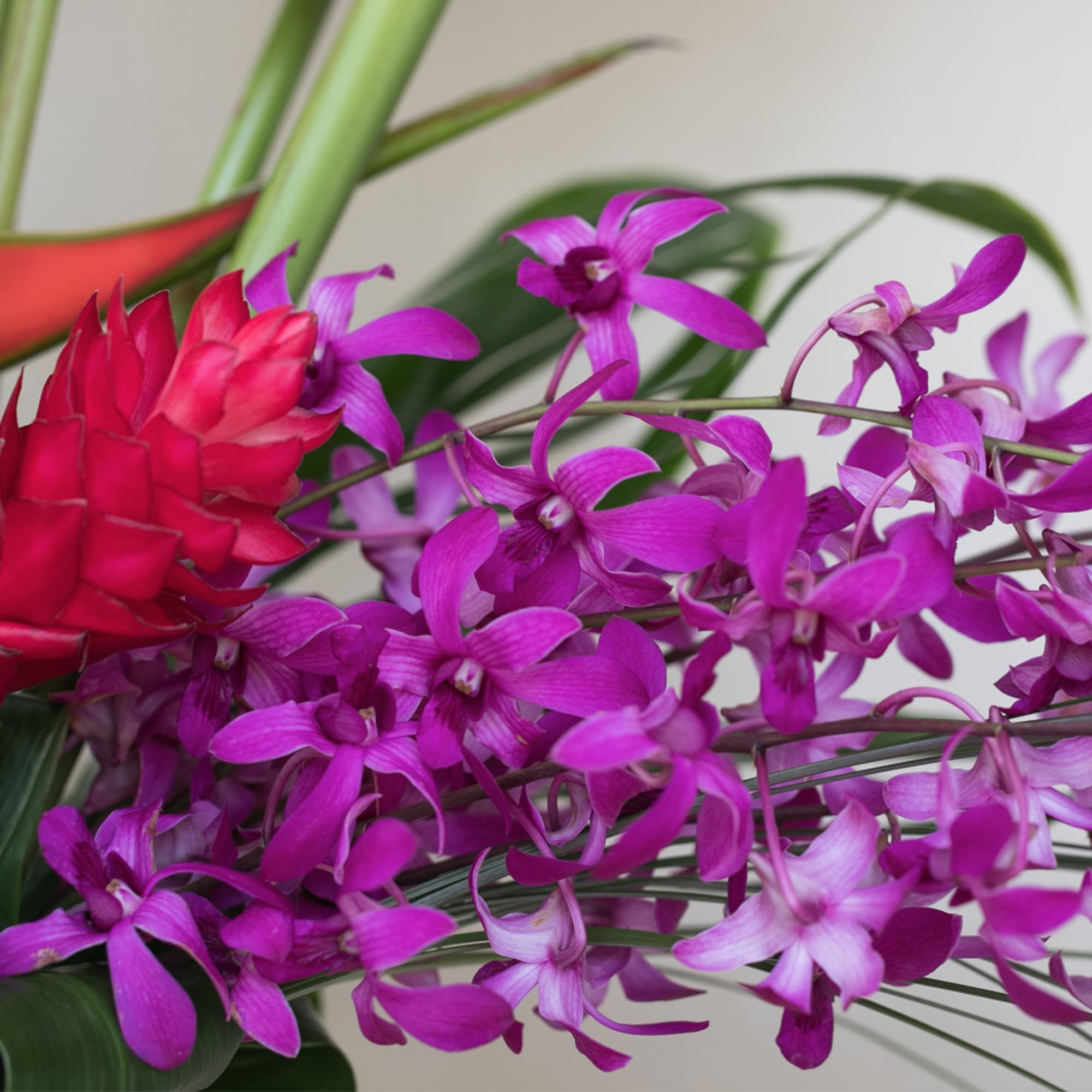 Illuminate any office or home with our vibrant and cheerful tropical flower