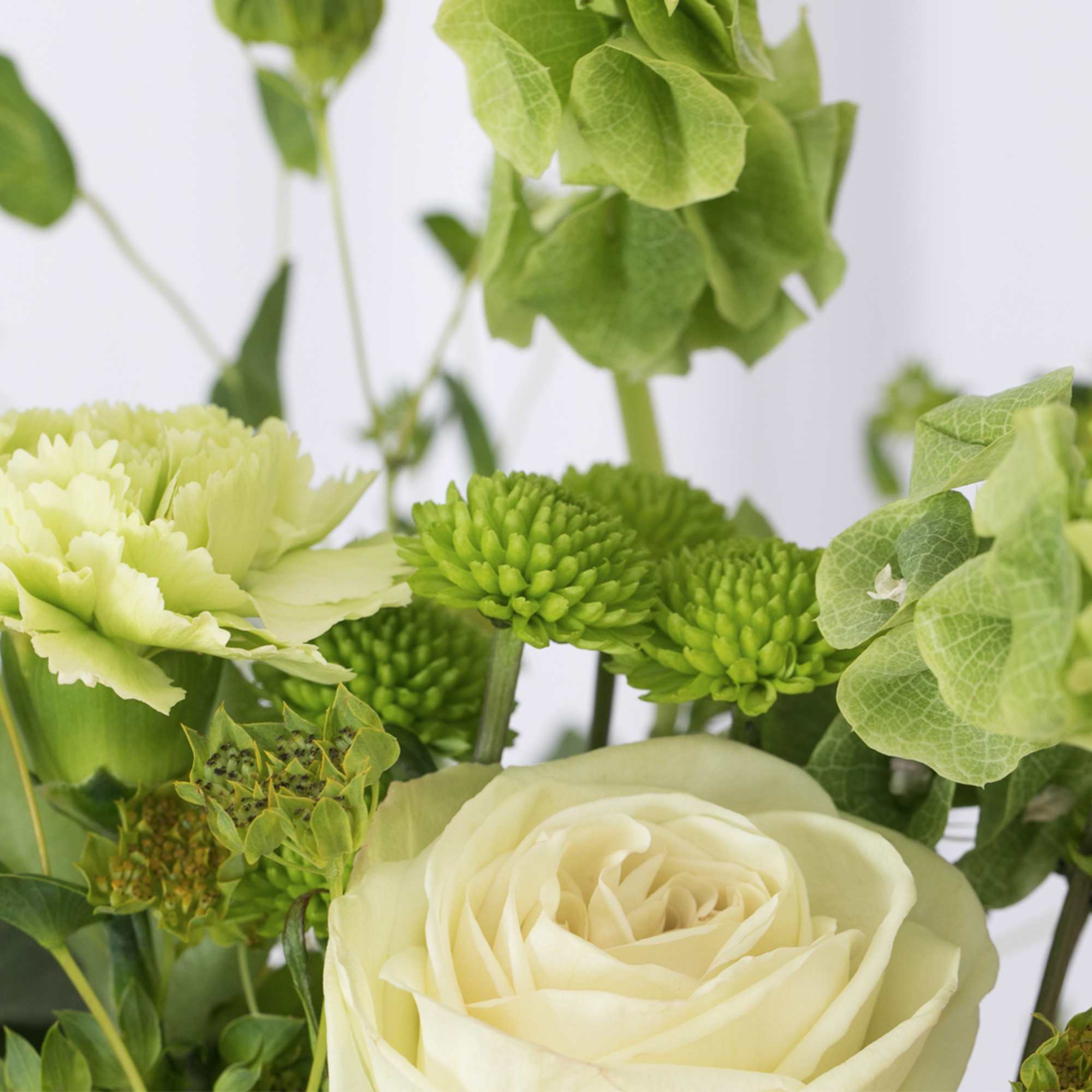 Close-up of white rose, green carnations, button mums, and Bells of Ireland