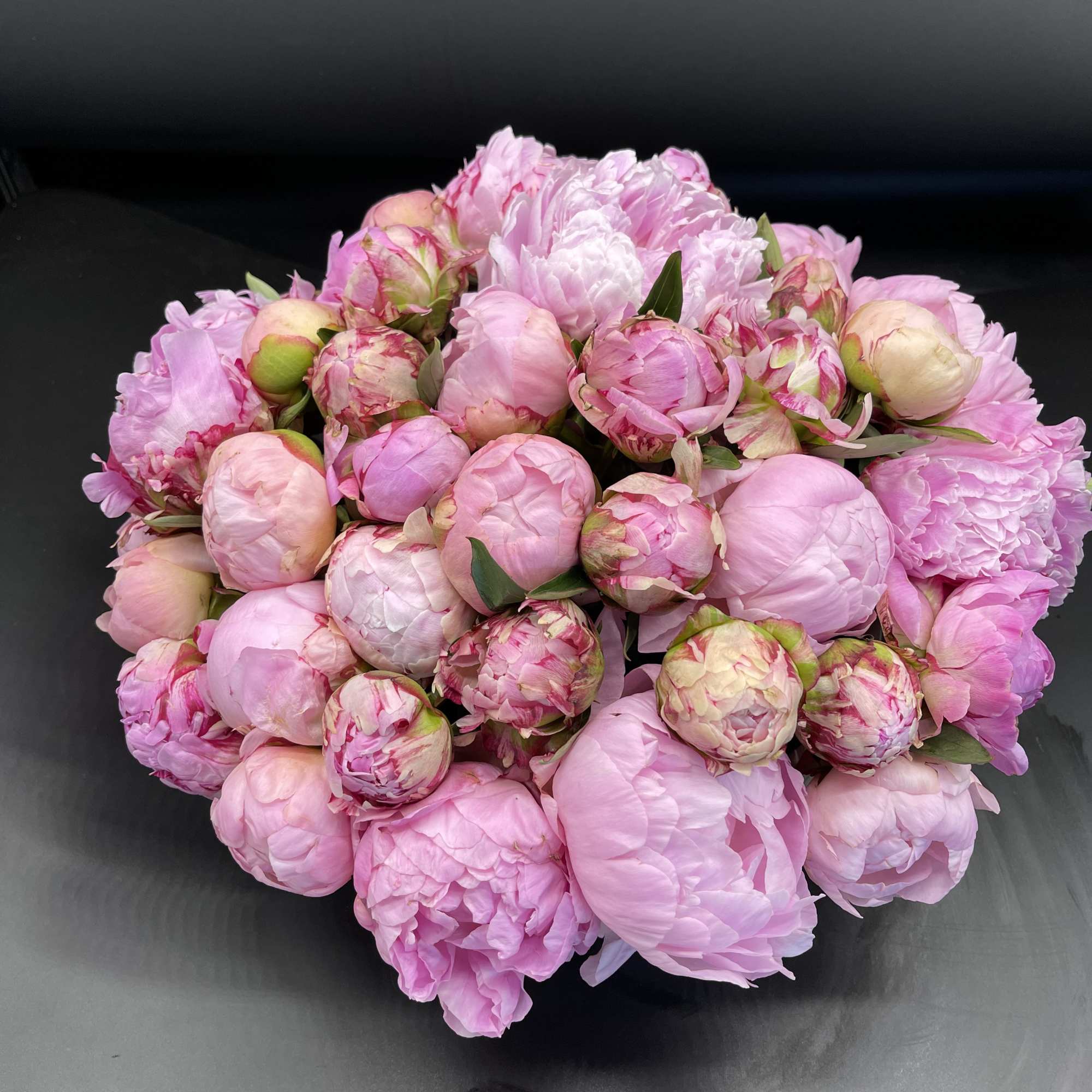 Bouquet of pink peonies on a dark surface