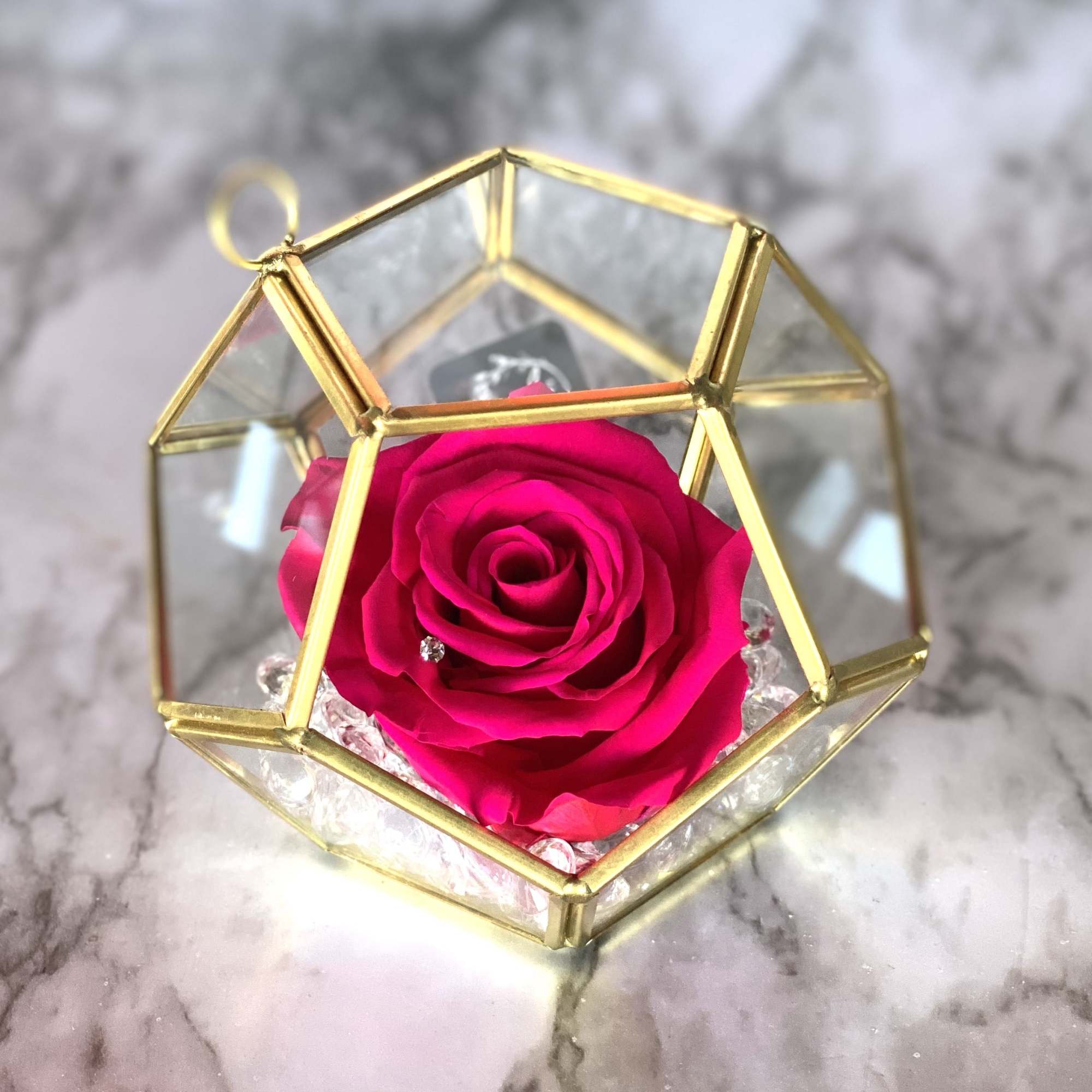 Meet our Everlasting Roses - Mini Edition! This is a REAL rose