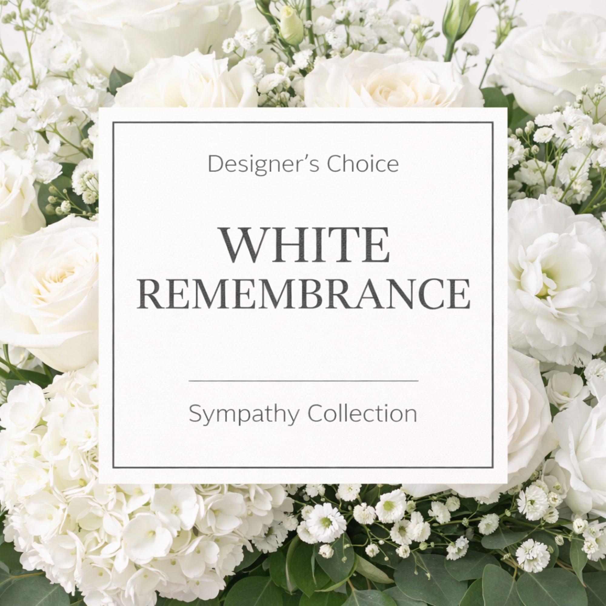 White floral sympathy arrangement with roses and hydrangeas
