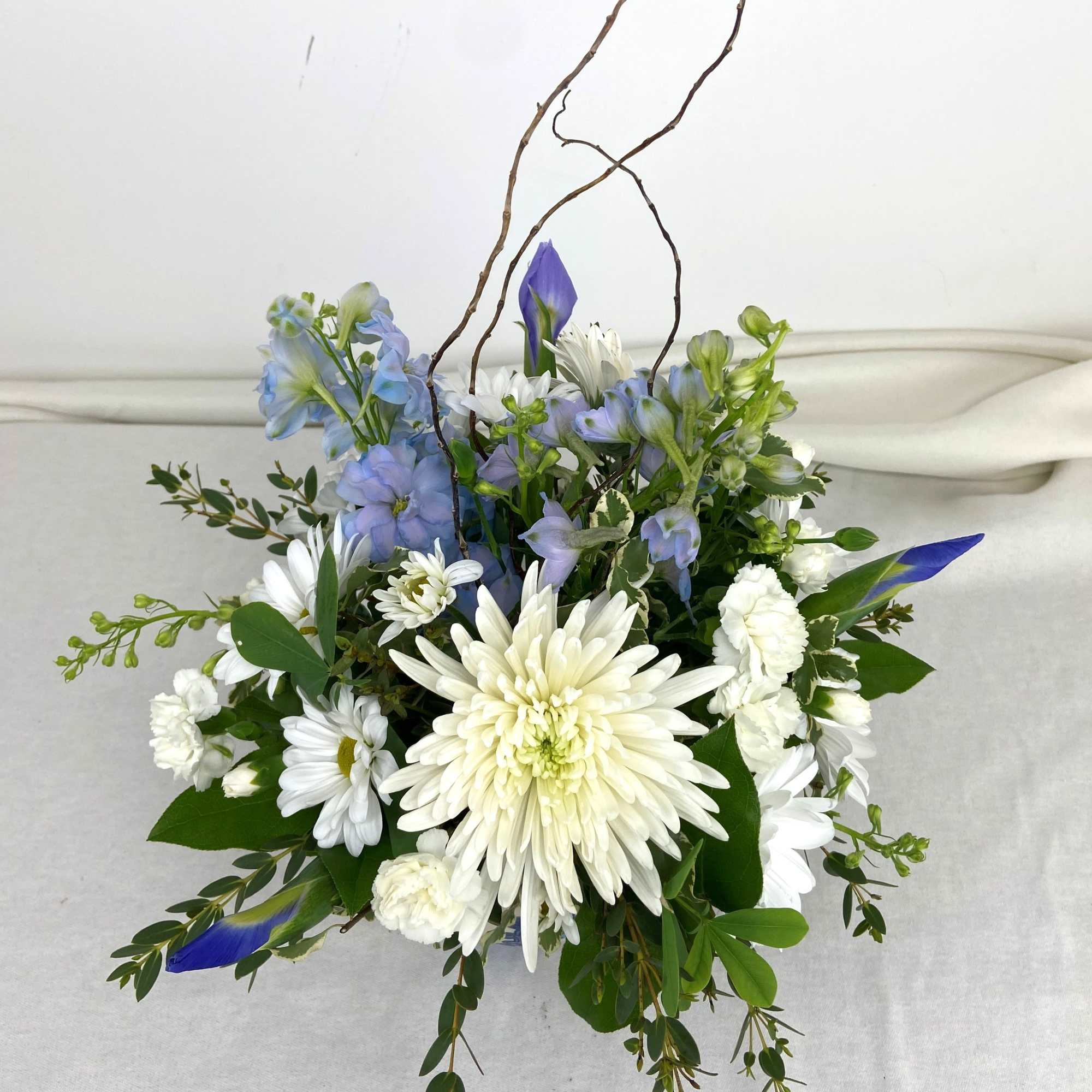 White chrysanthemums, pale blue delphinium and daisies arranged in a rounded 5.5", photo 2 of 3
