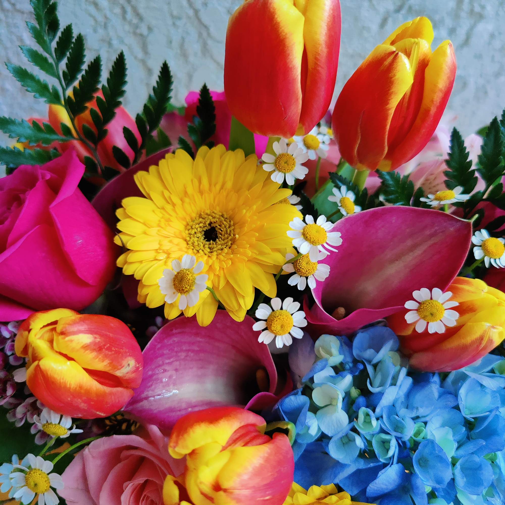 Colorful bouquet with tulips, gerbera daisies, roses, calla lilies, and small daisies