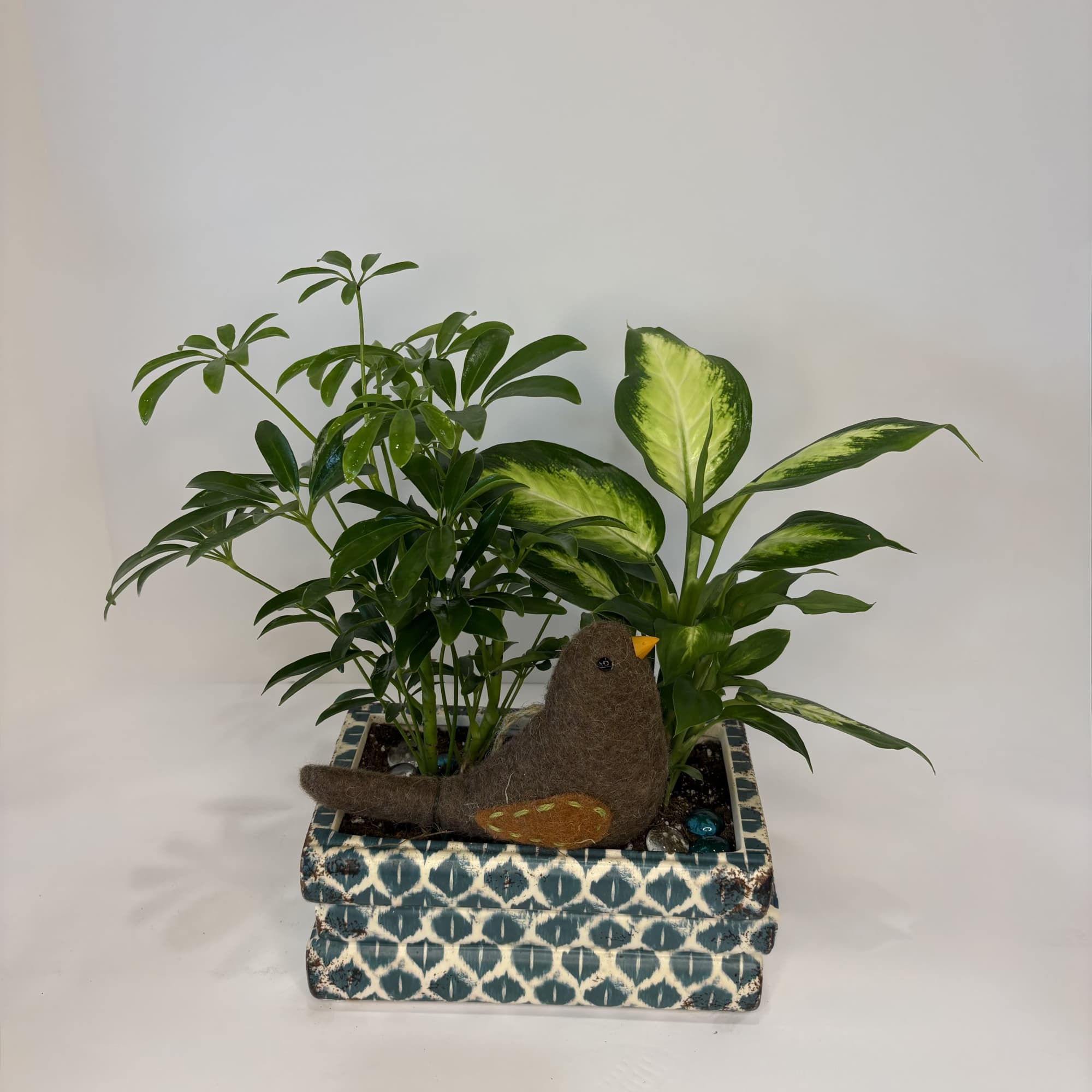 Book Club Planter consists of 2 small green plants in a book-shaped