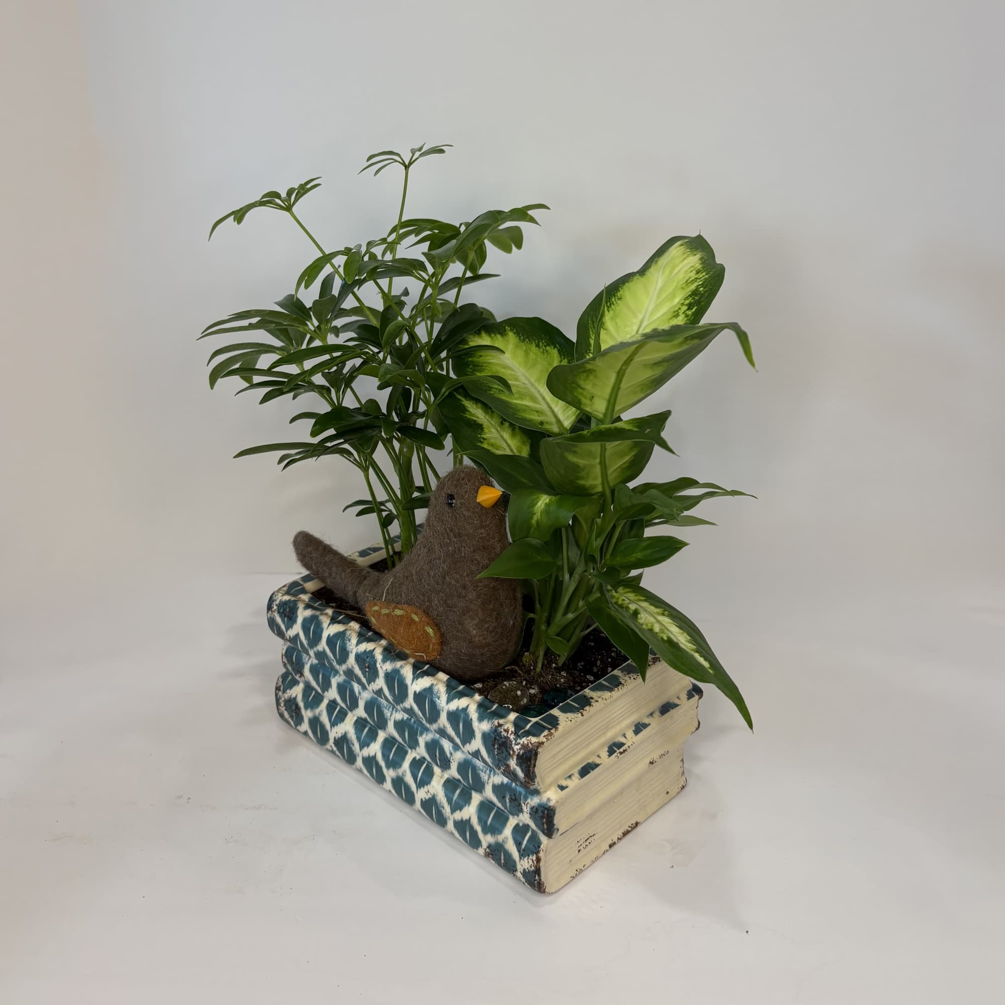 Book Club Planter consists of 2 small green plants in a book-shaped, photo 2 of 2