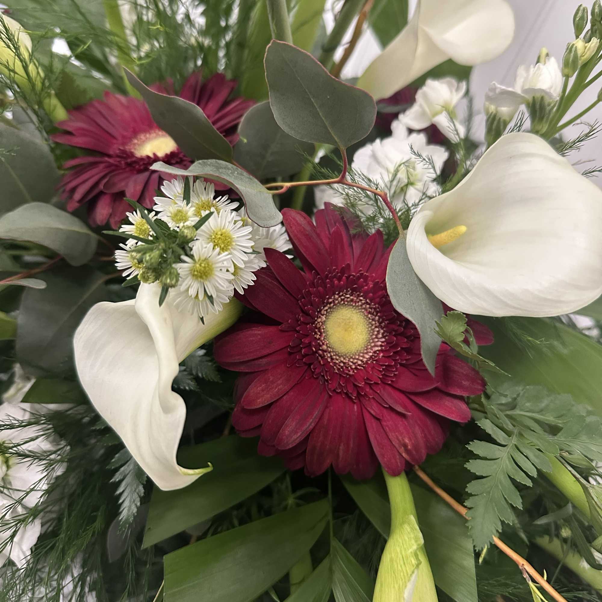 Bouquet with burgundy gerbera daisies and white calla lilies