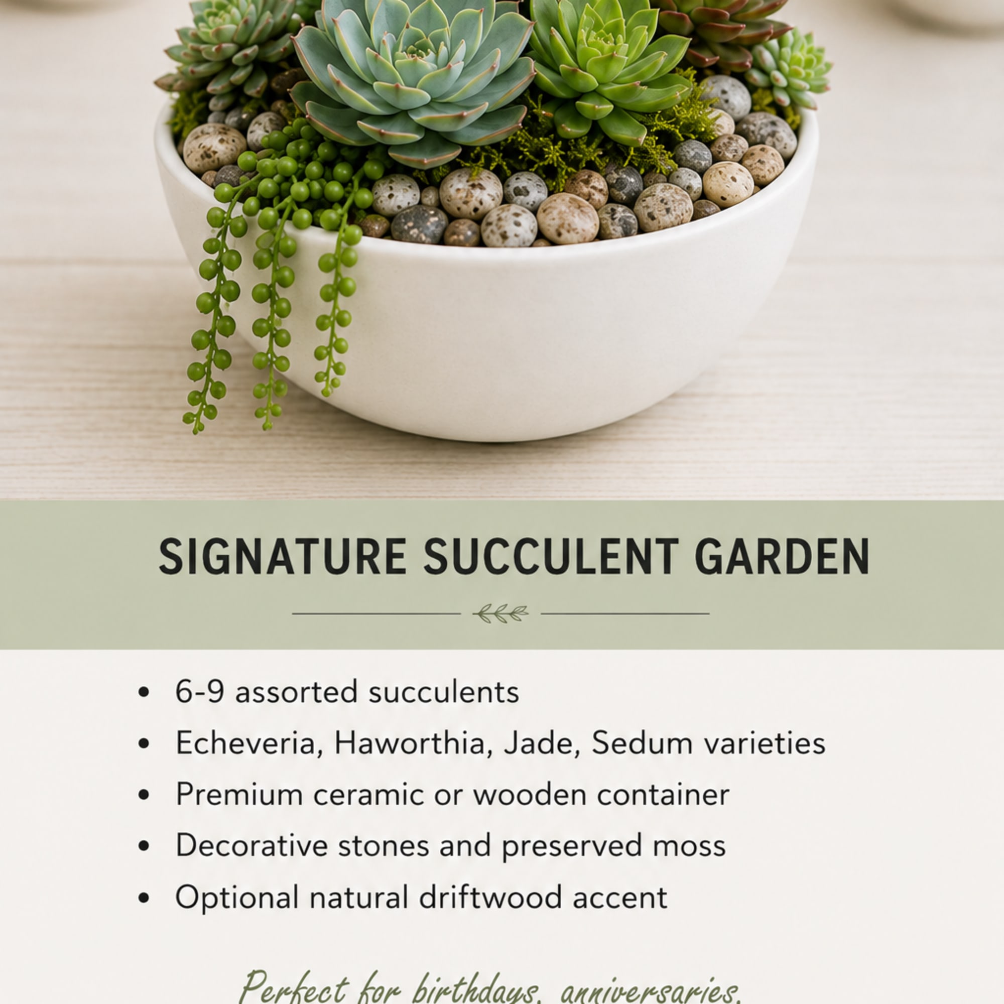 Succulent arrangement in a white bowl with decorative stones