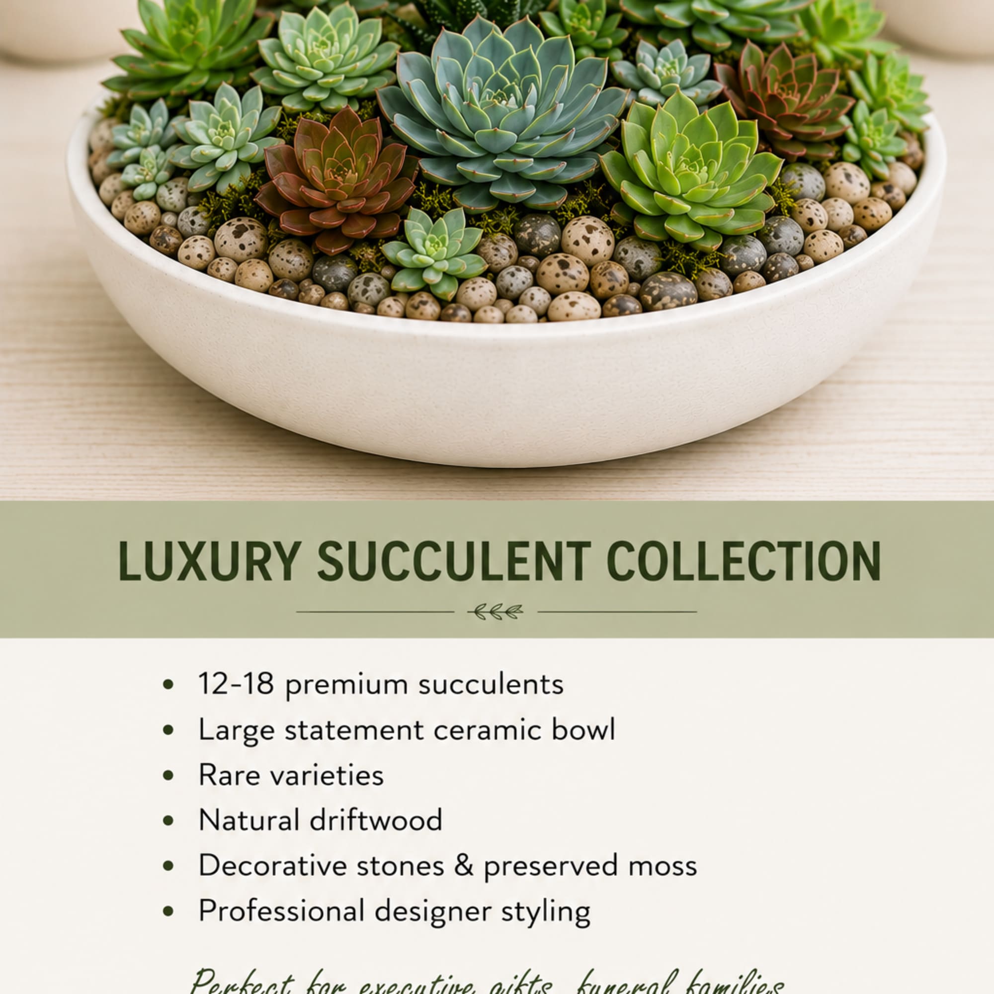 Succulent arrangement in a white ceramic bowl with decorative stones