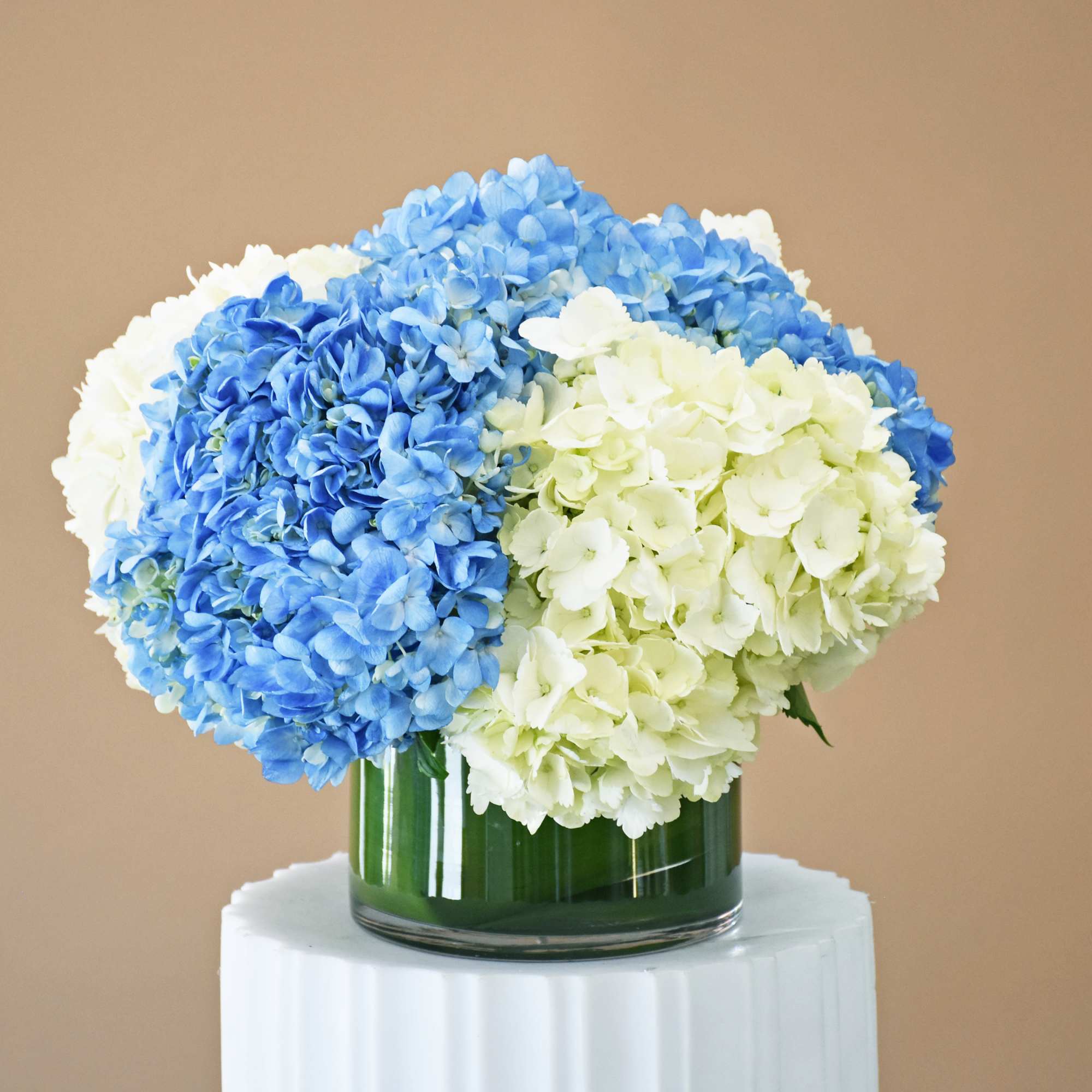 Experience the delightful simplicity of our signature bicolor hydrangea arrangement. As a