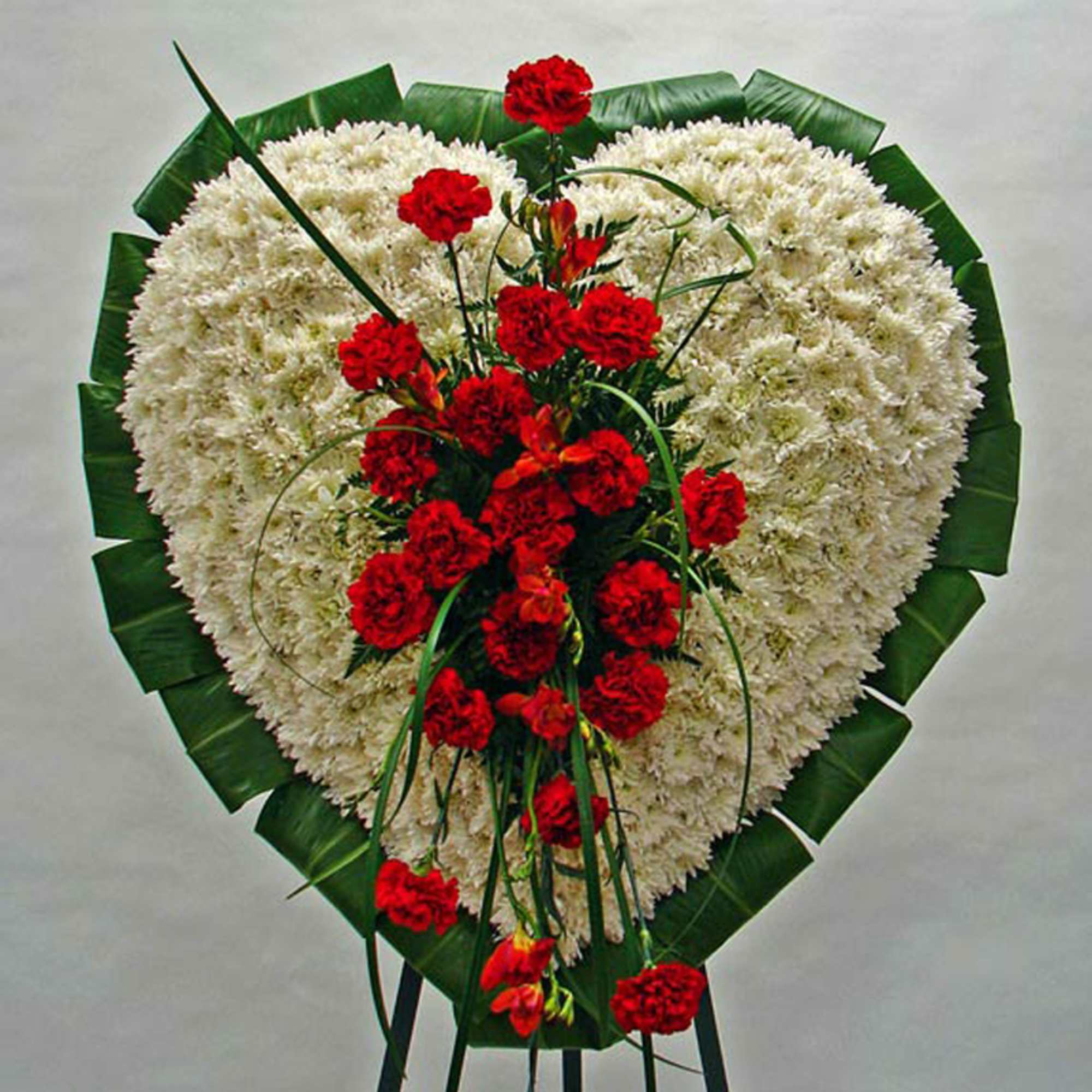 Standing heart-shaped tribute of white flowers edged in green with red carnations cascading down the center