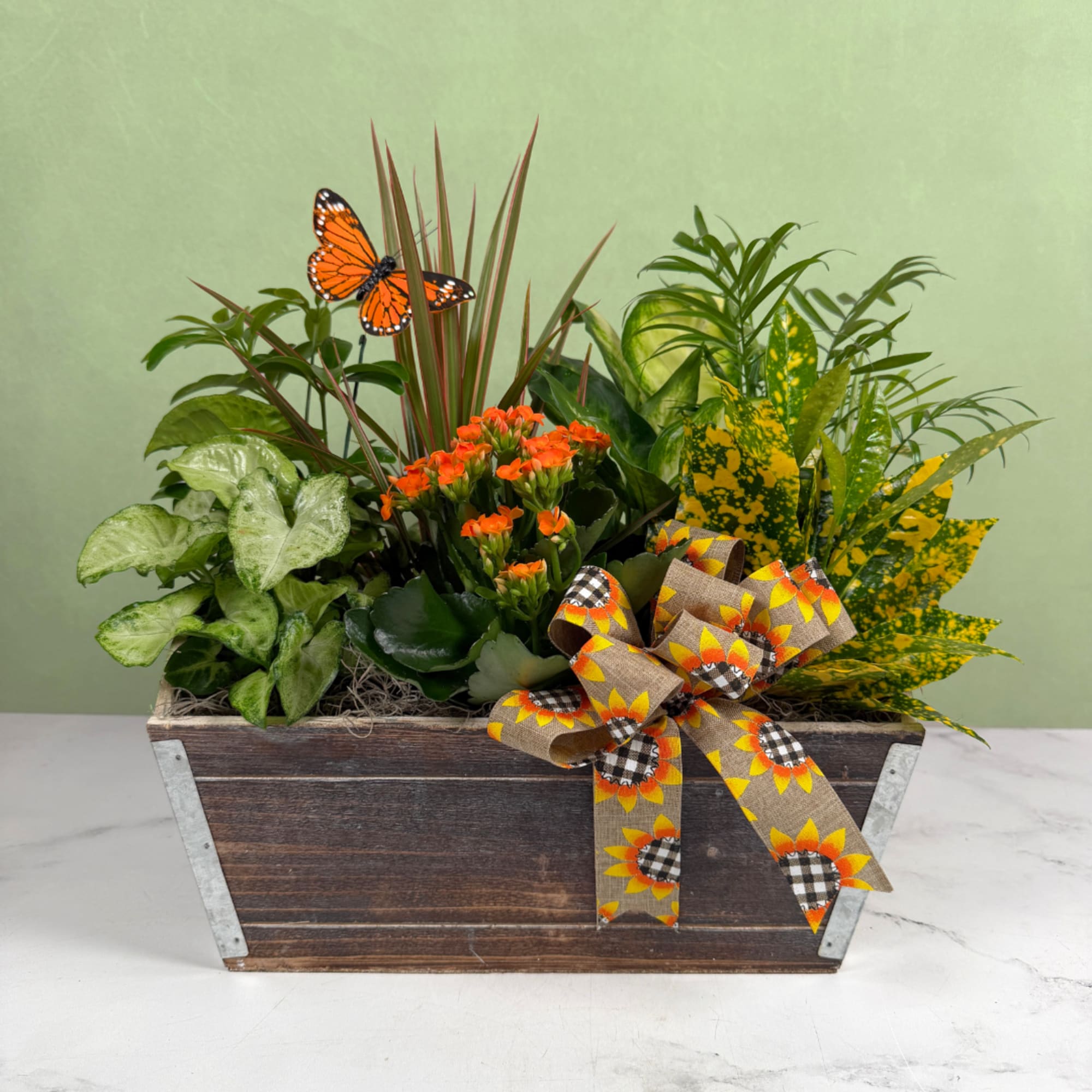 The Monarch Meadow Dish Garden is a cheerful, garden-style dish garden arranged, photo 2 of 3
