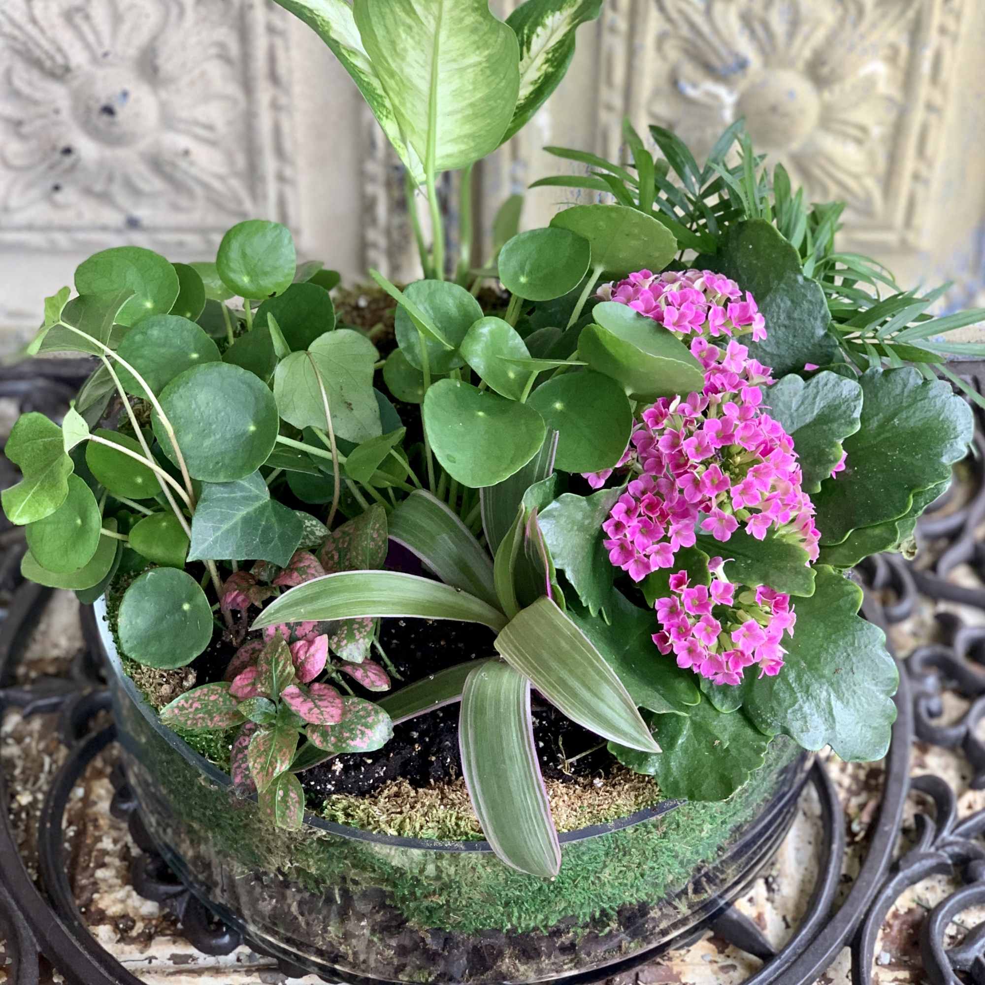 Mixed potted plants with pink flowers in a glass bowl