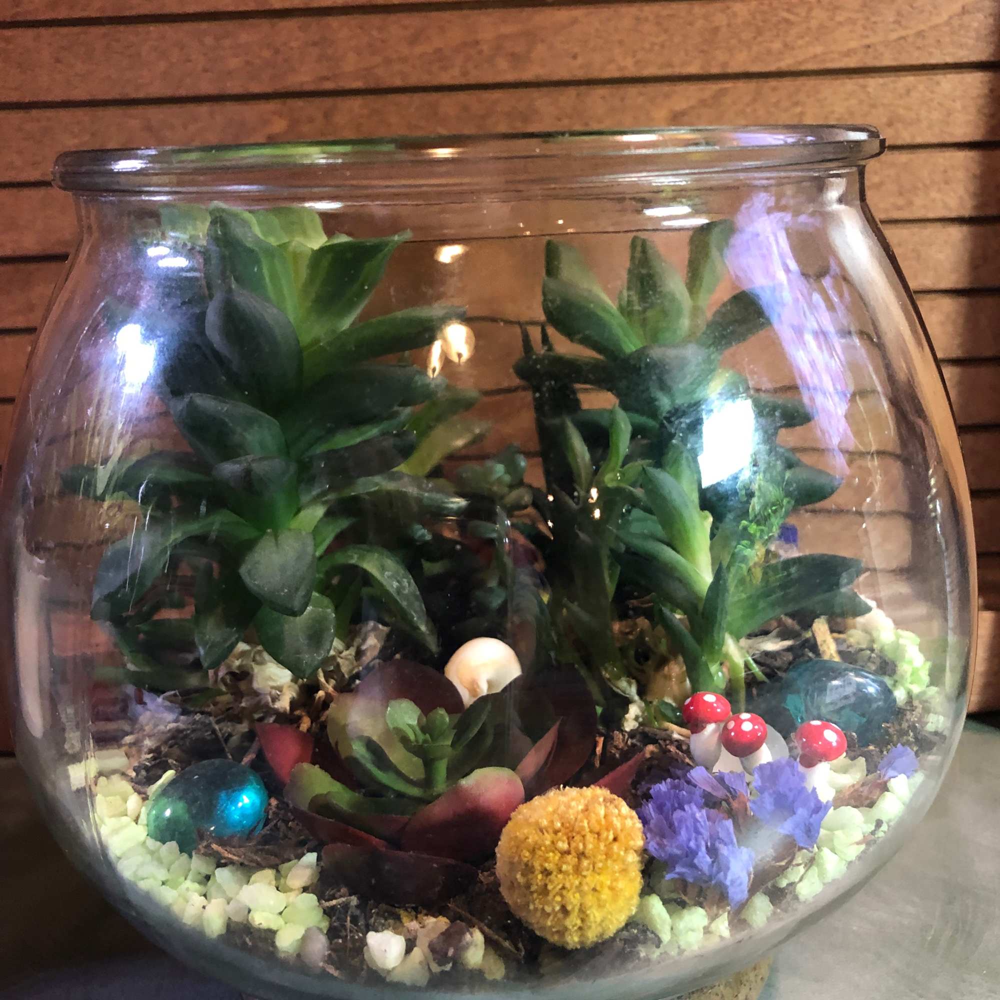 Succulent terrarium in a round glass bowl with decorative stones and mushrooms