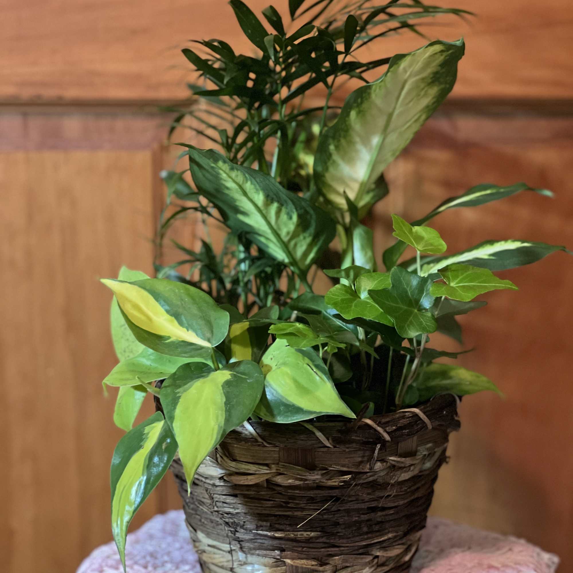 Mixed green houseplants in a woven basket planter