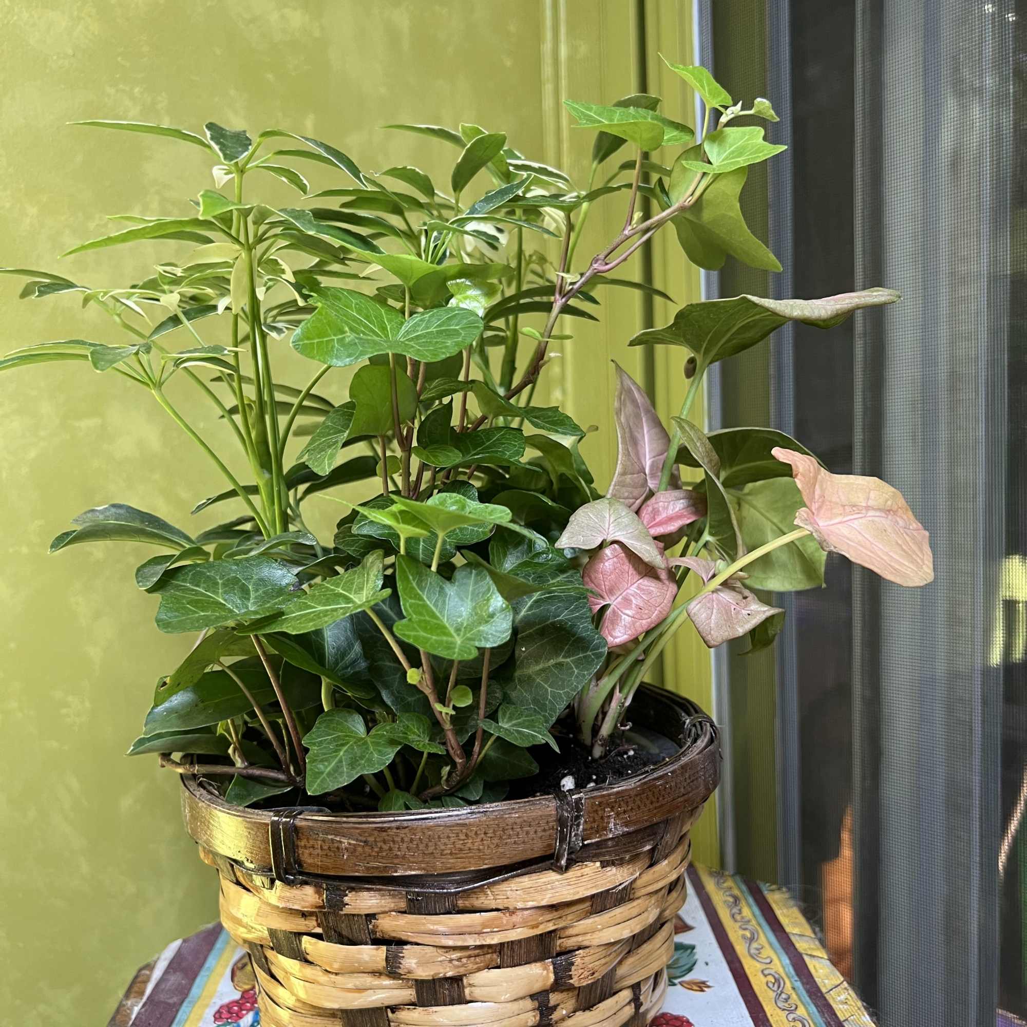 Our Wicker Planter starts with a 6" basket with a florist assortment